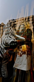 A shop window display features a mannequin wearing a stylish dress with floral patterns alongside a large zebra figure. The reflection on the glass shows an urban street scene, with buildings visible in the background.