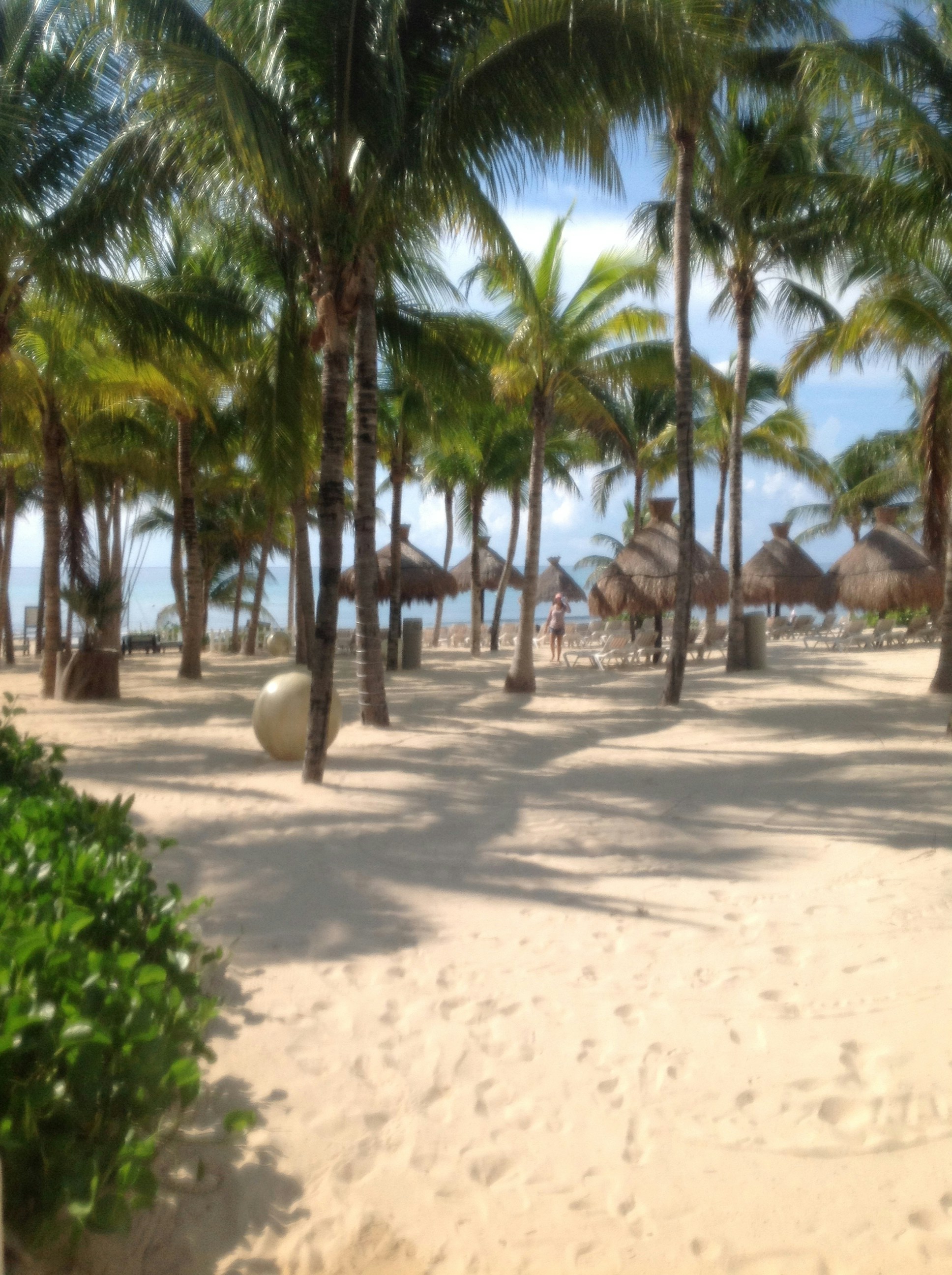 Free Unsplash photo from Joan Rodr