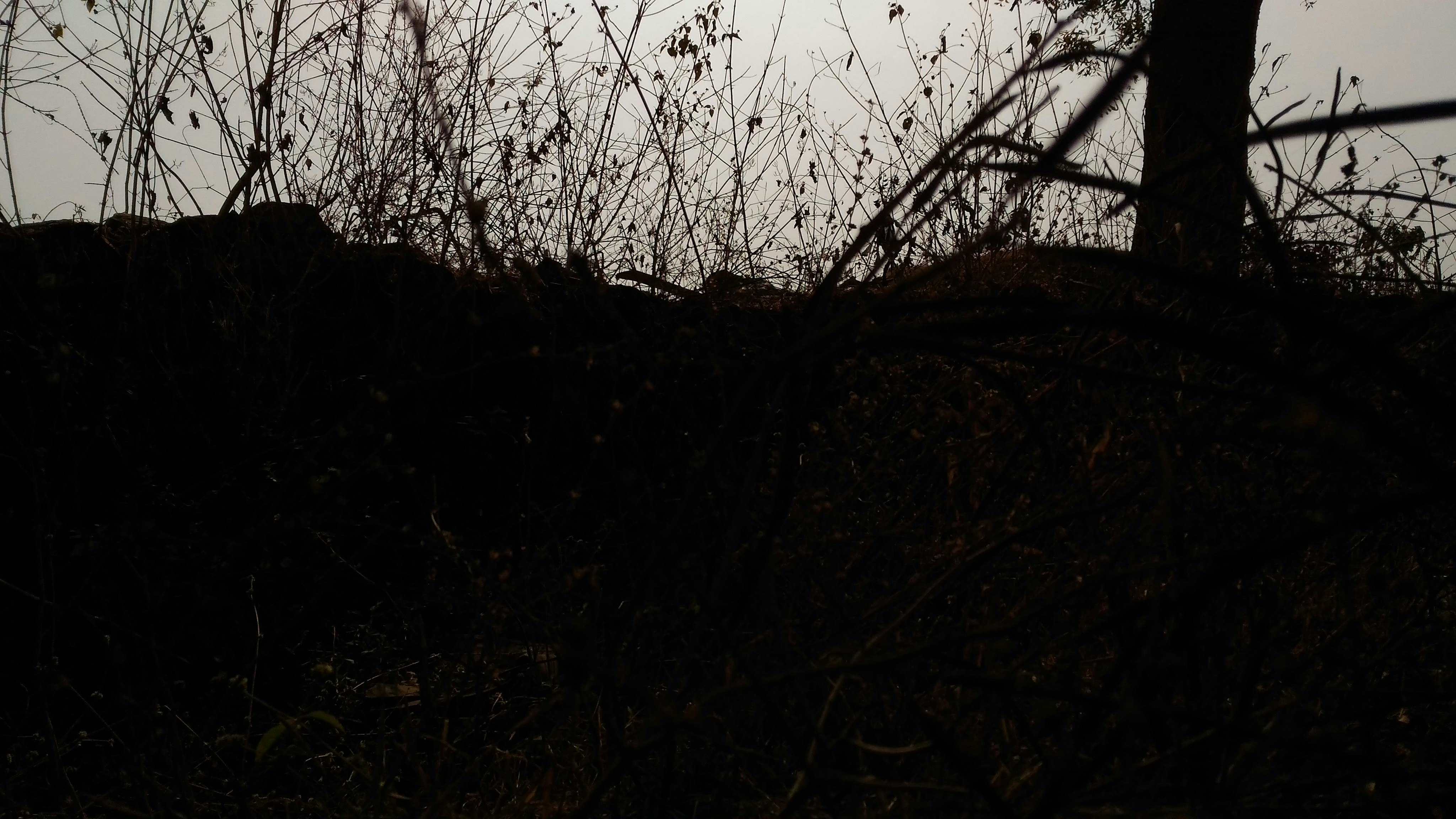 Free Unsplash photo from Somesh K. Dhruw