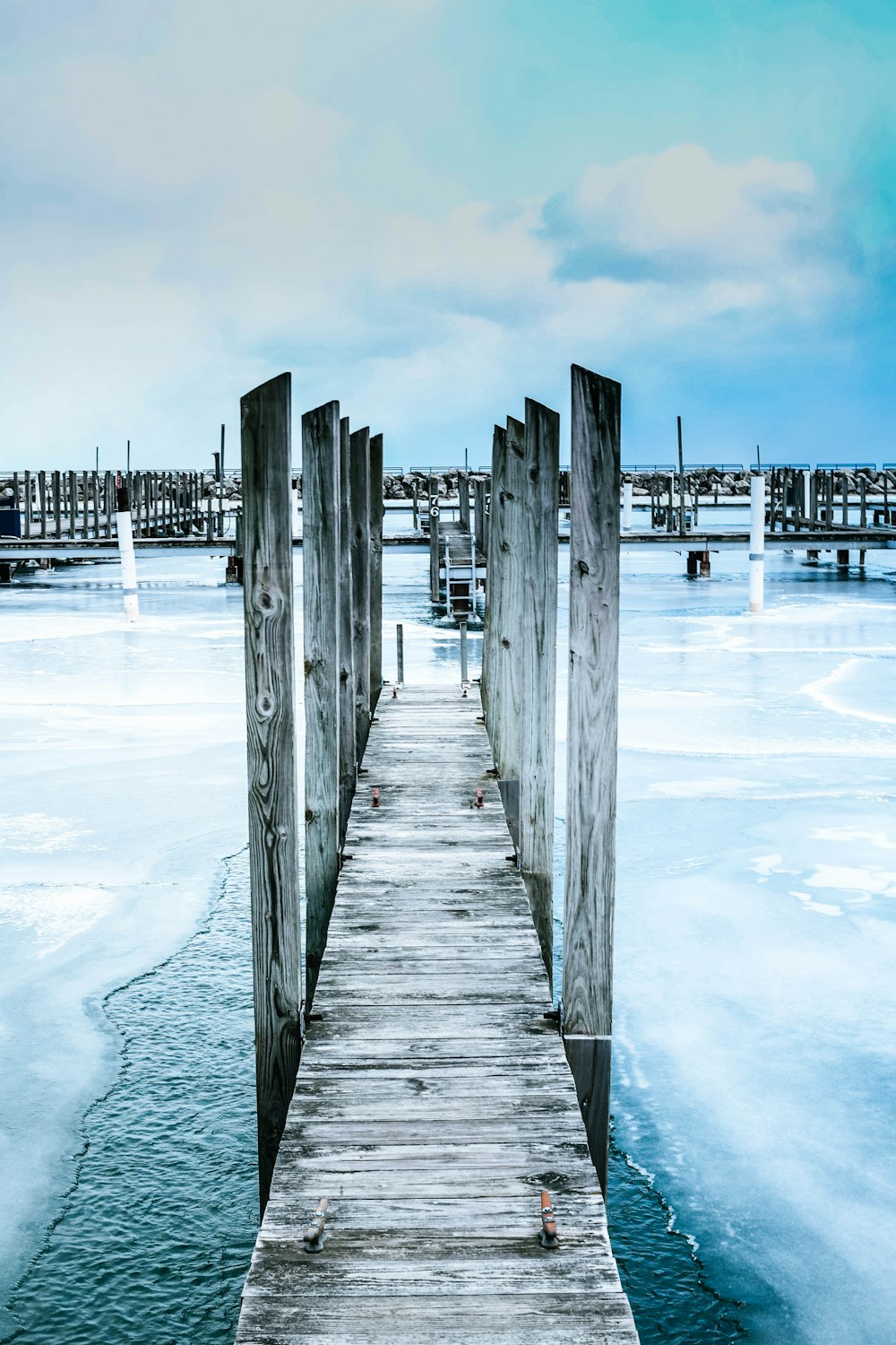 brown wooden dock during daytime