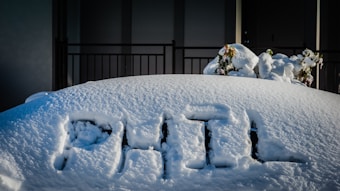 A snow-covered car with the name 'Phil' inscribed on the windshield. Nearby, a bush also covered in snow with some colorful flowers peeking through.