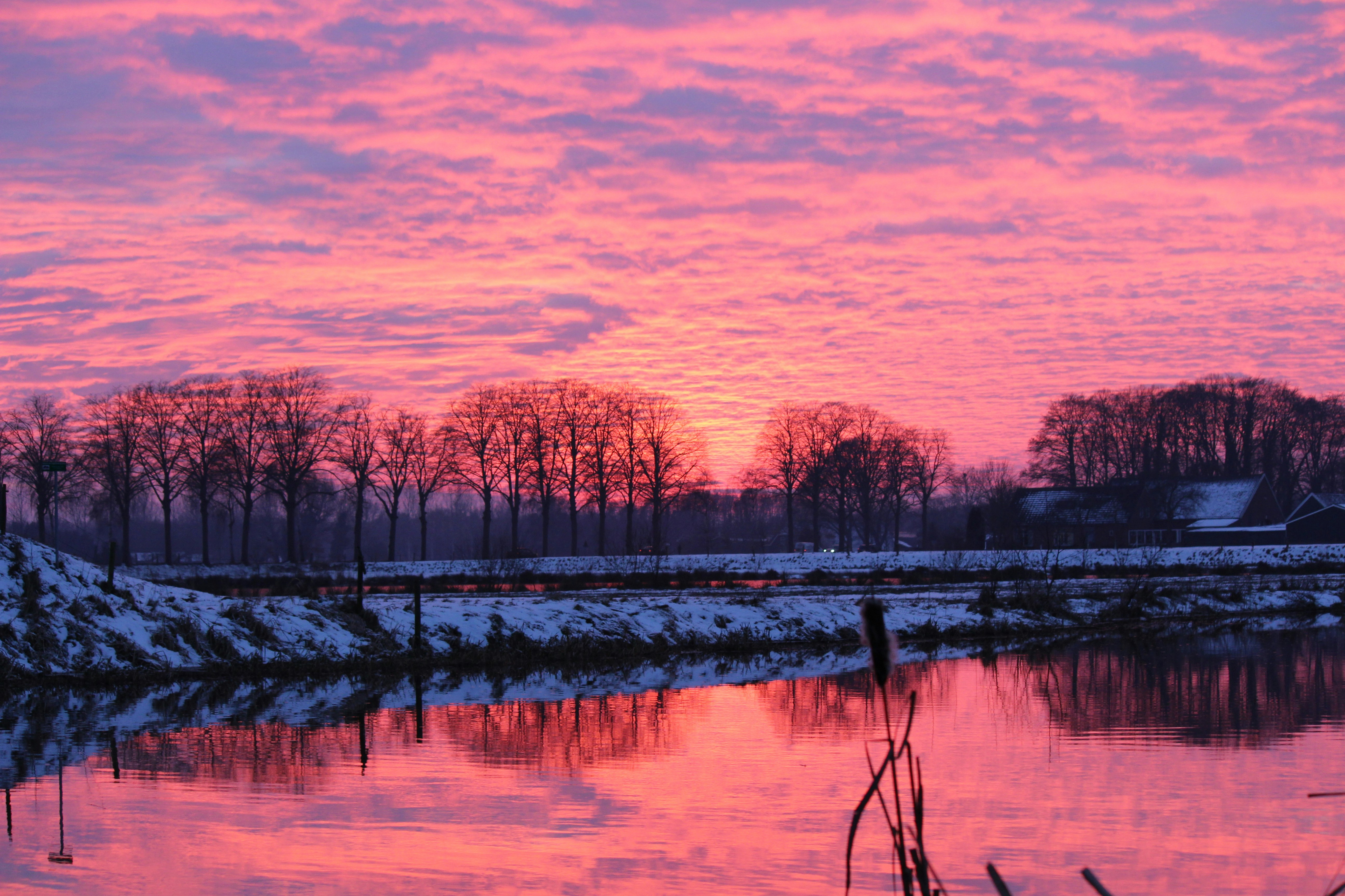 Free Unsplash photo from Koen van Ginkel