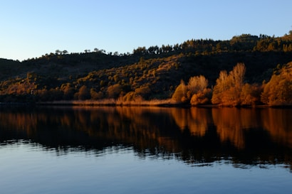 The image captures a serene landscape featuring a gentle hillside covered with small trees and bushes, reflecting the warm hues of a setting or rising sun. The calm water in the foreground mirrors the rich colors of the vegetation, creating a harmonious and peaceful scene.