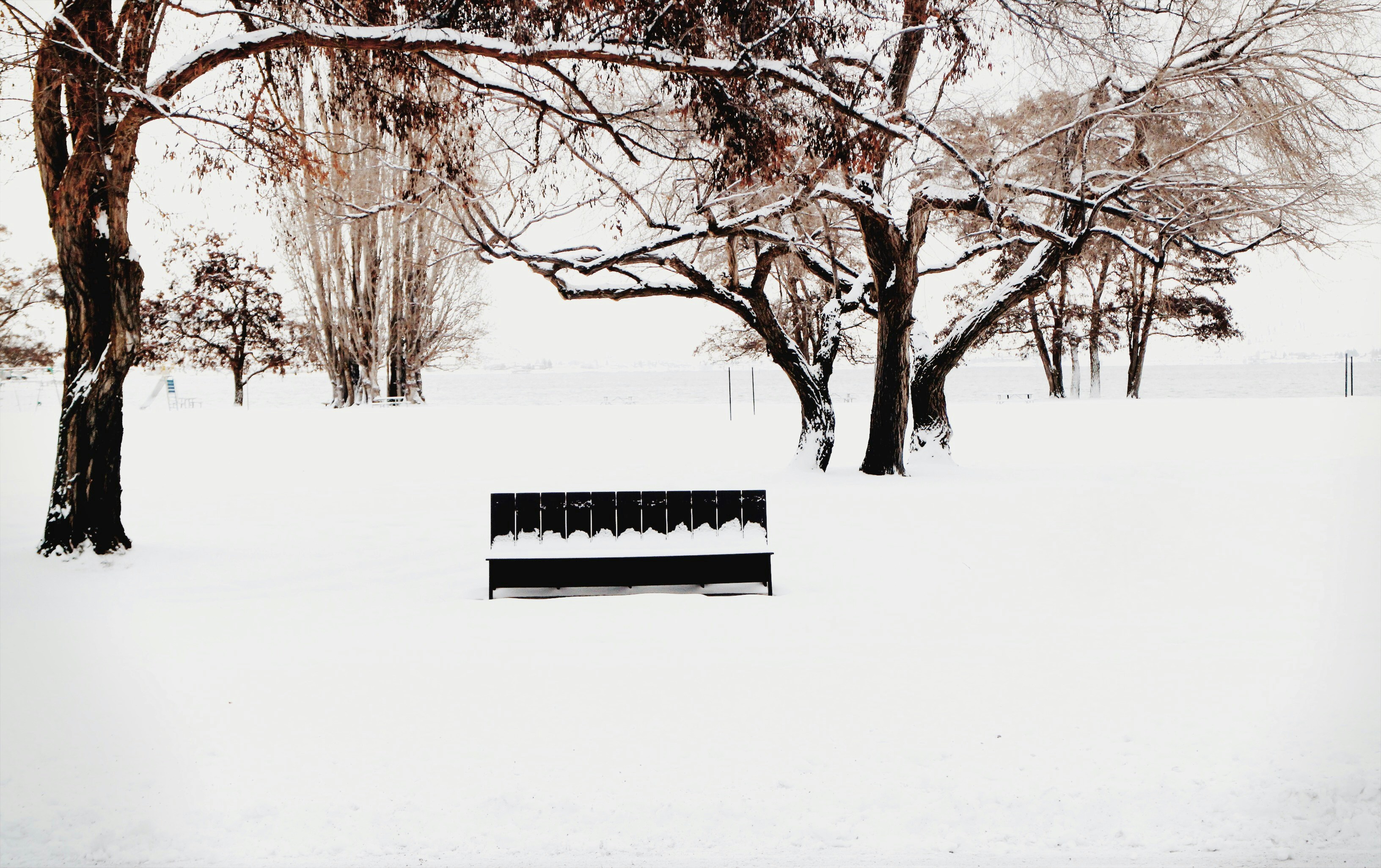 Free Unsplash photo from Michael Nunes