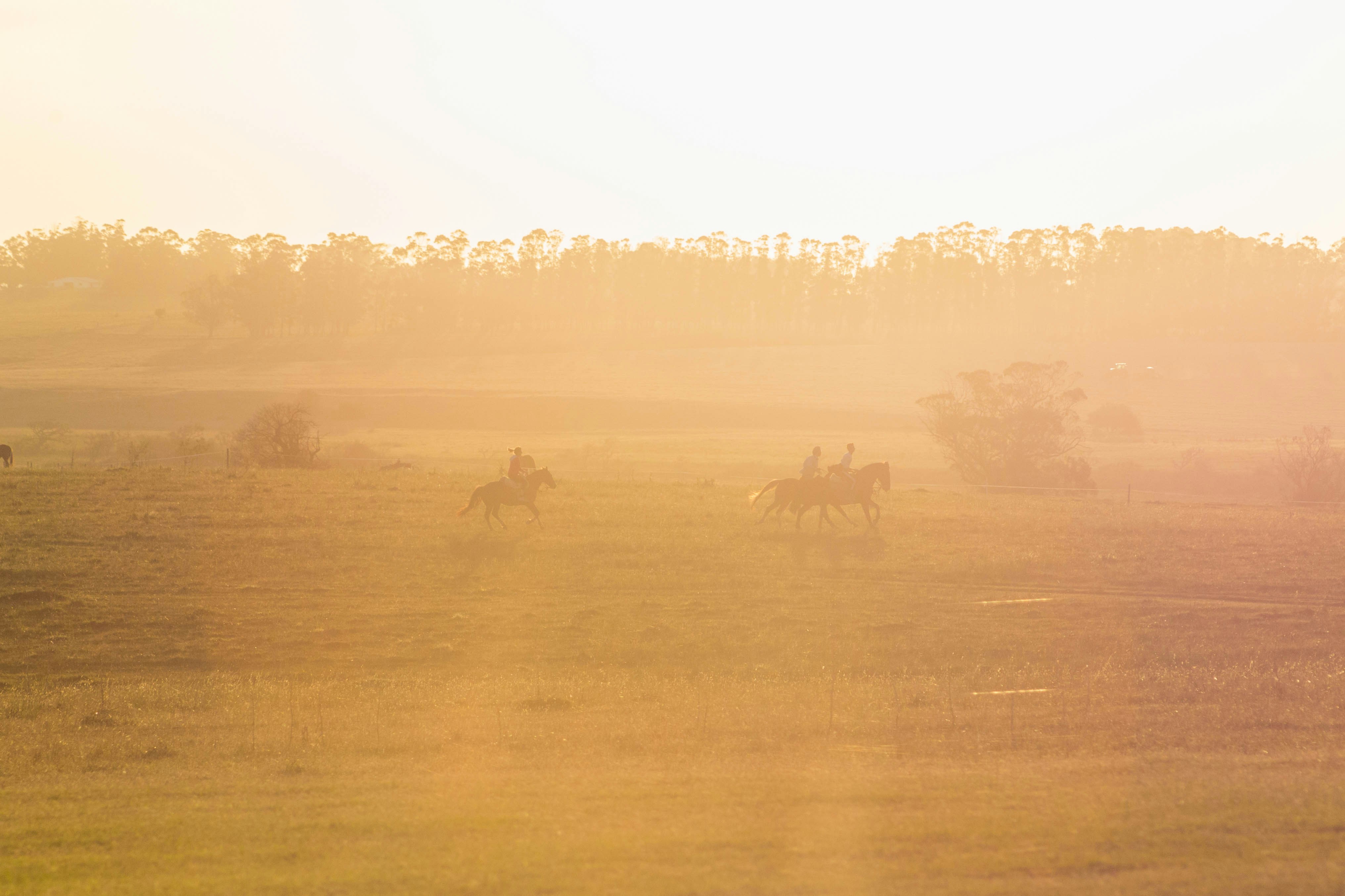 Free Unsplash photo from Wyatt Eck