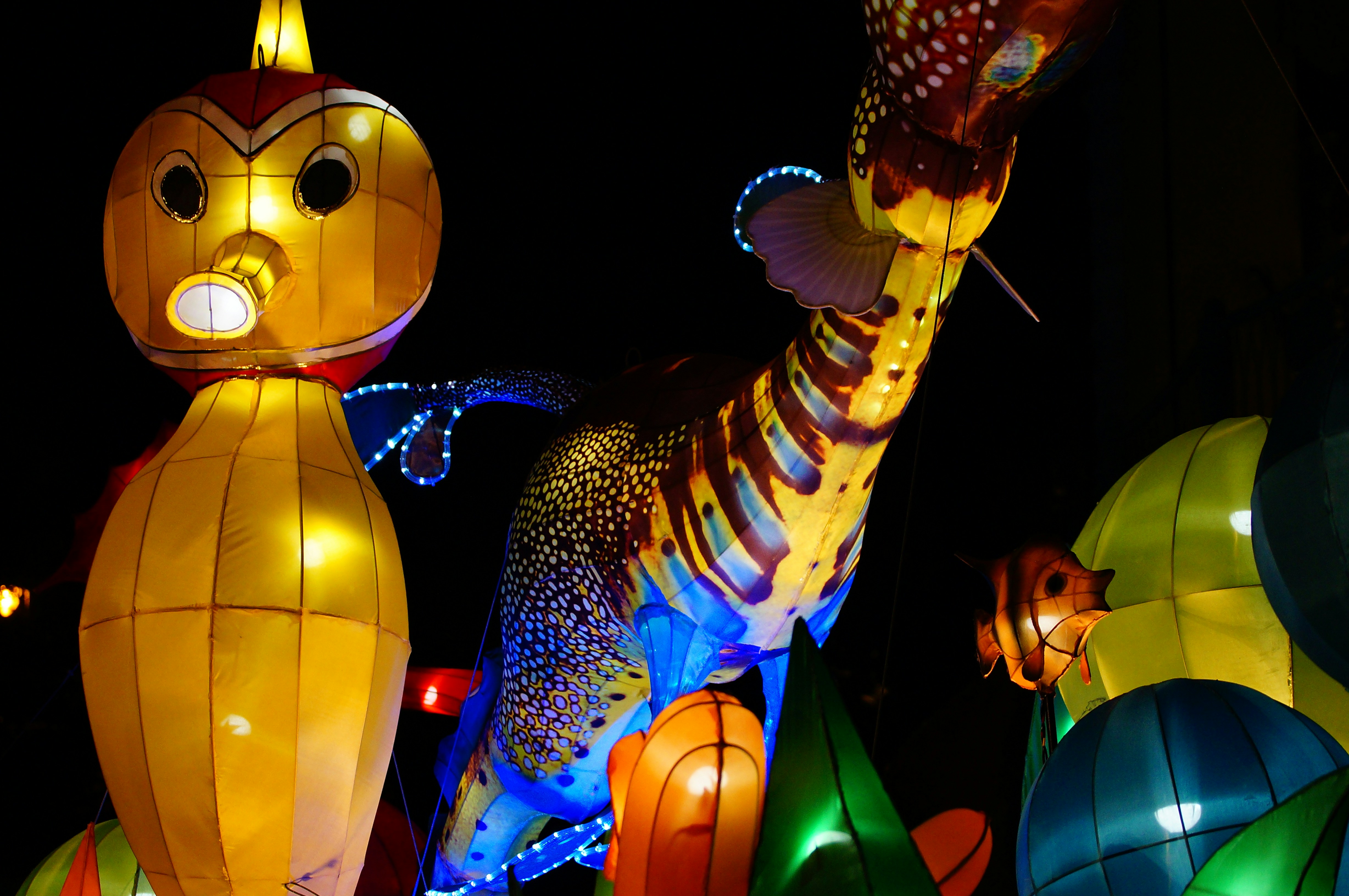 Free Unsplash photo from ken chan