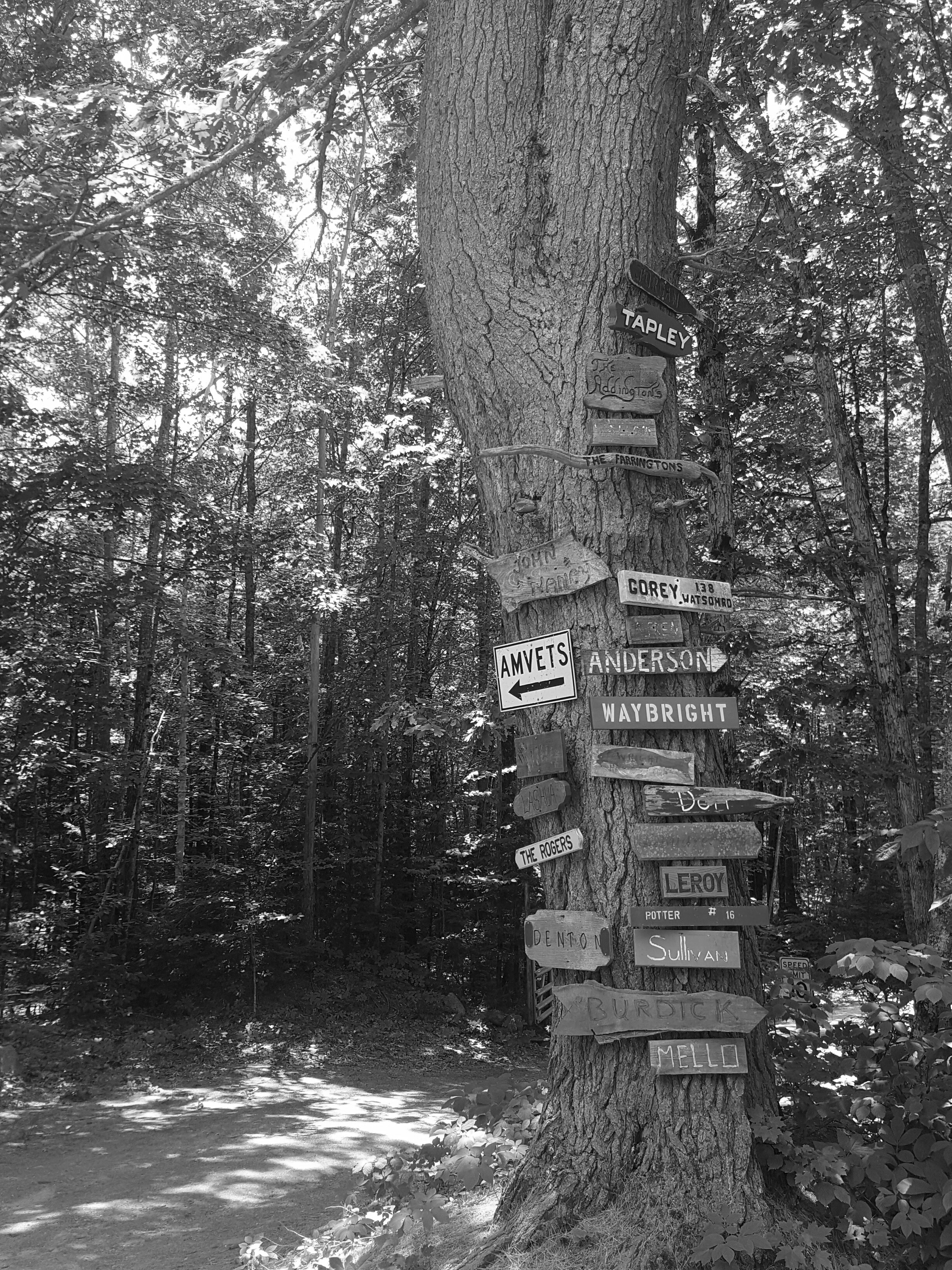 Free Unsplash photo from Aasha Edwards