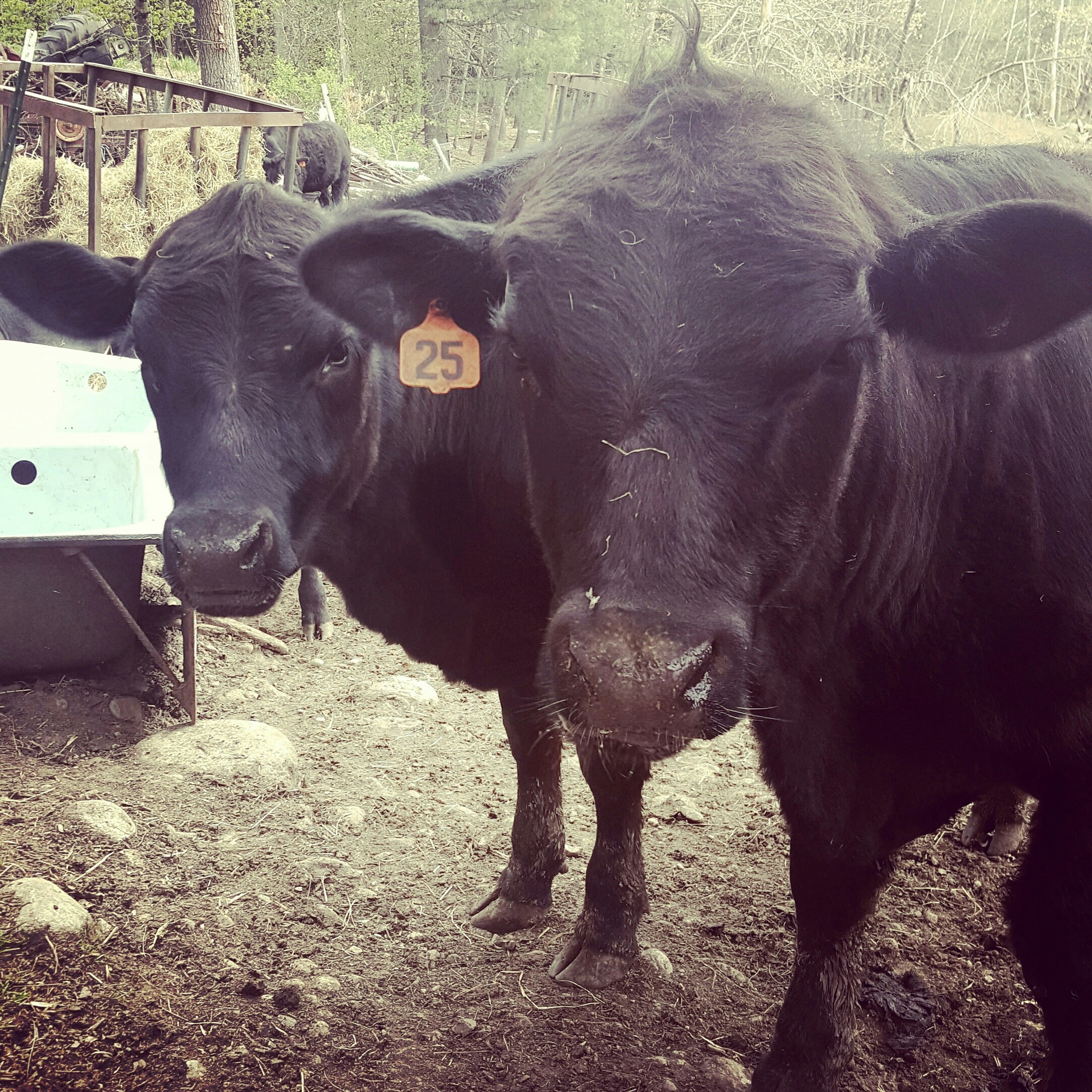 Free Unsplash photo from Aasha Edwards