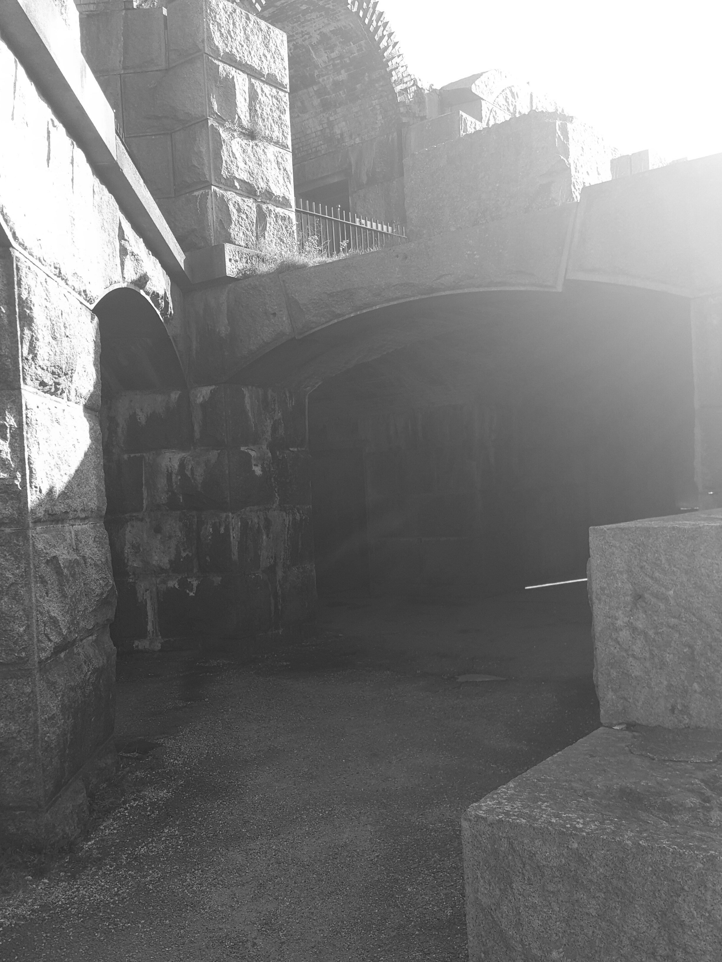 Free Unsplash photo from Aasha Edwards