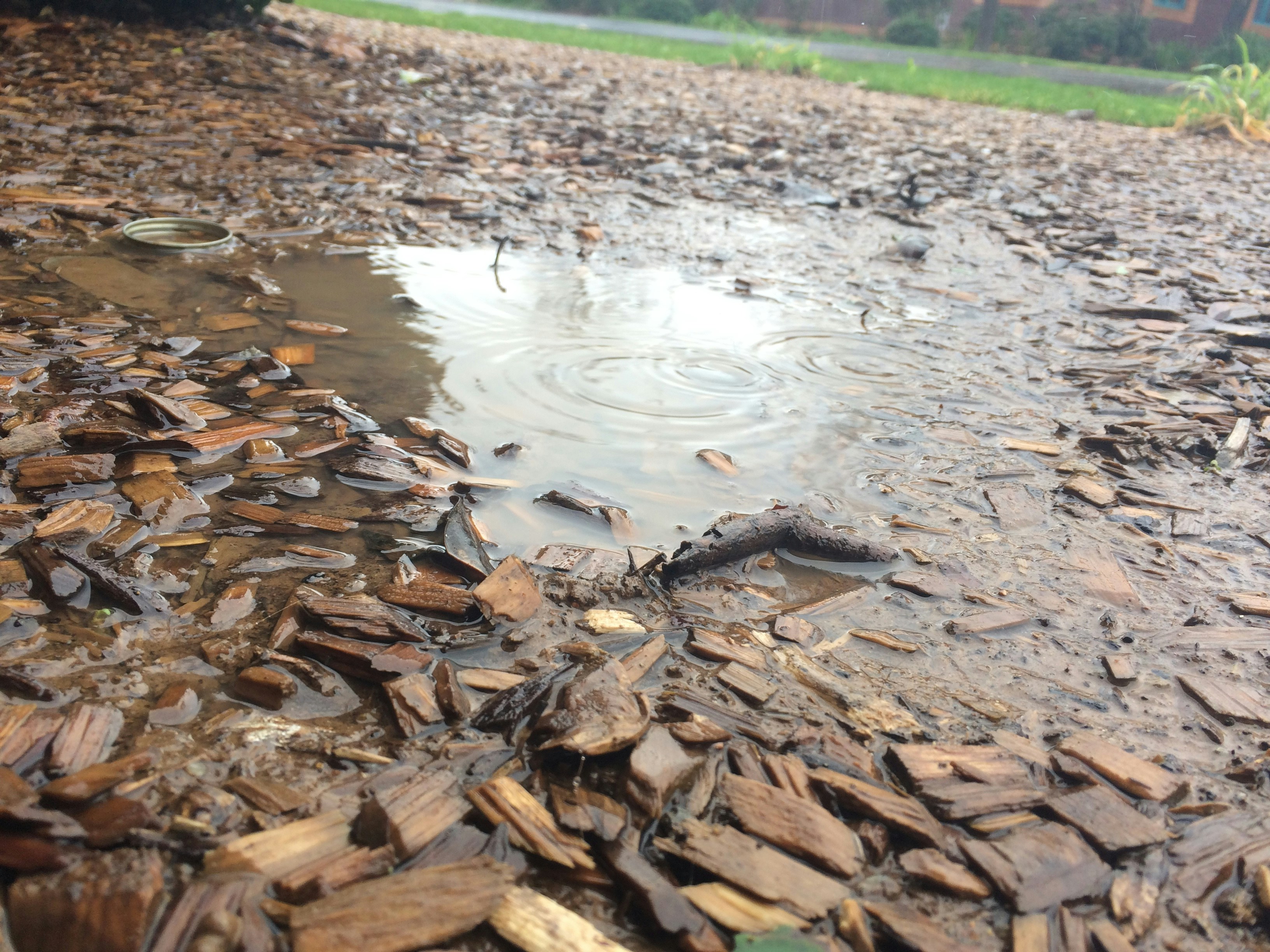 Free Unsplash photo from ENRIQUE Ayala Gnzz