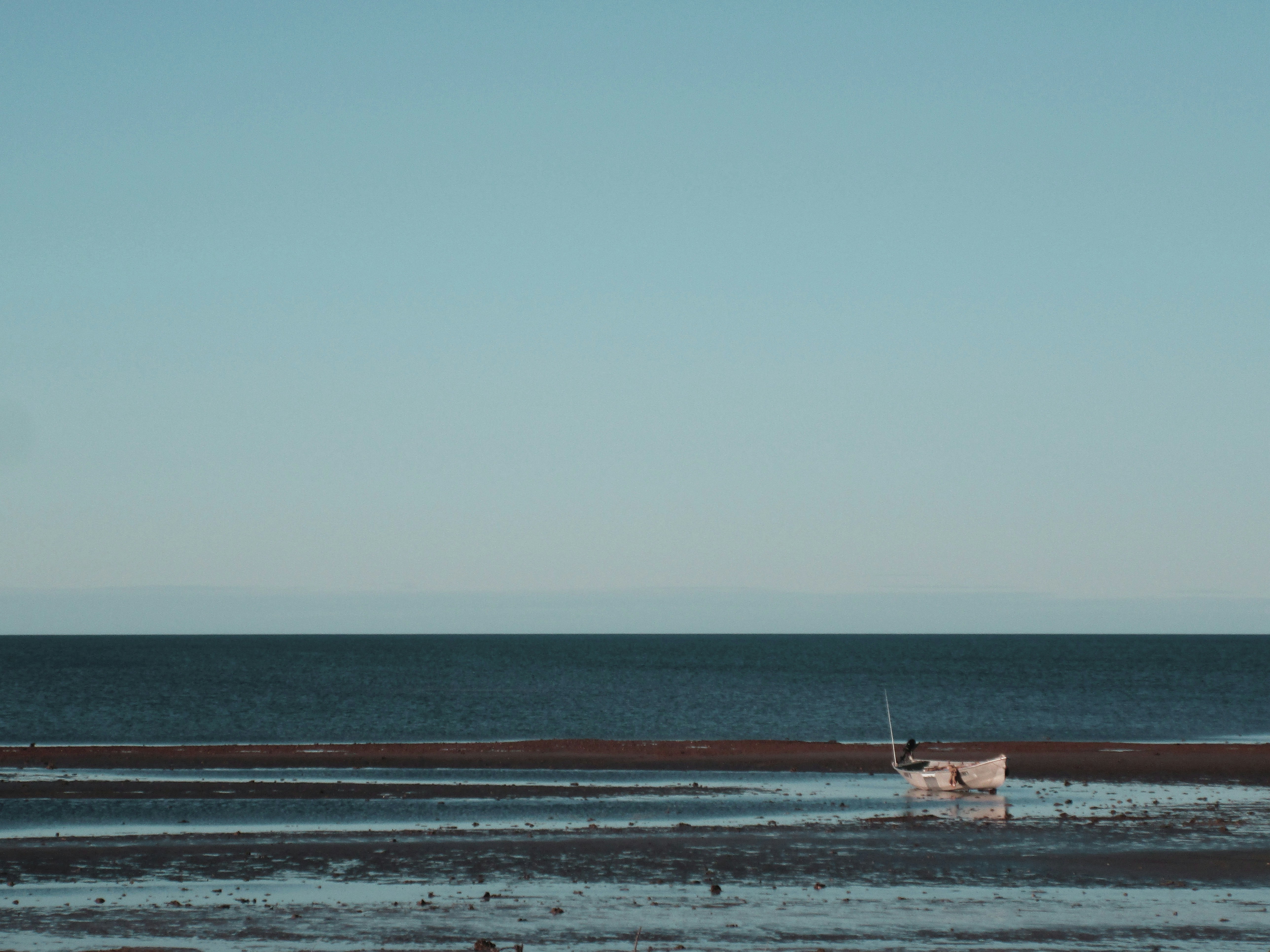 Free Unsplash photo from Henry Chen