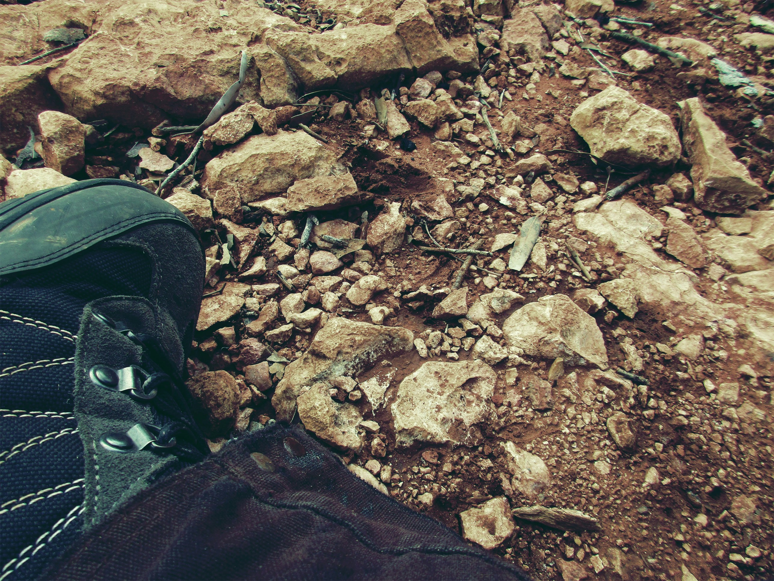 Free Unsplash photo from Henry Chen