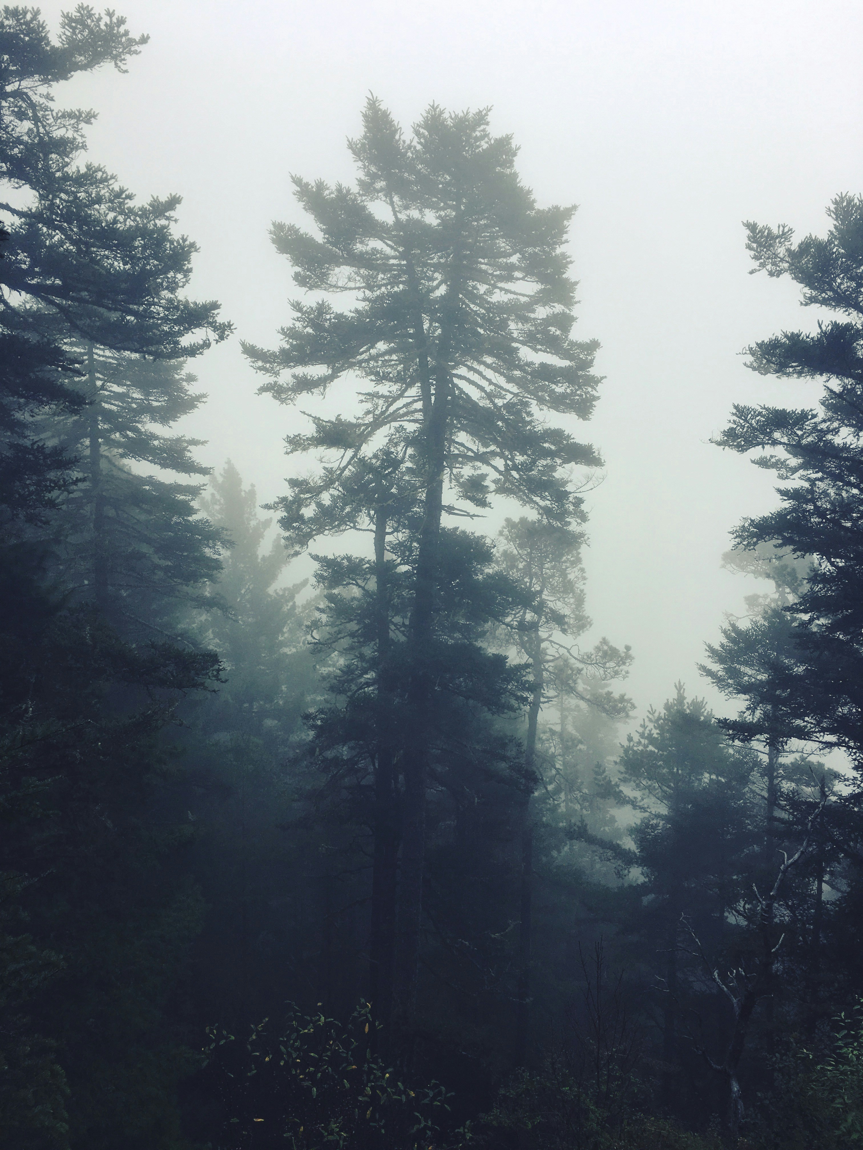 Free Unsplash photo from Pepe Reyes