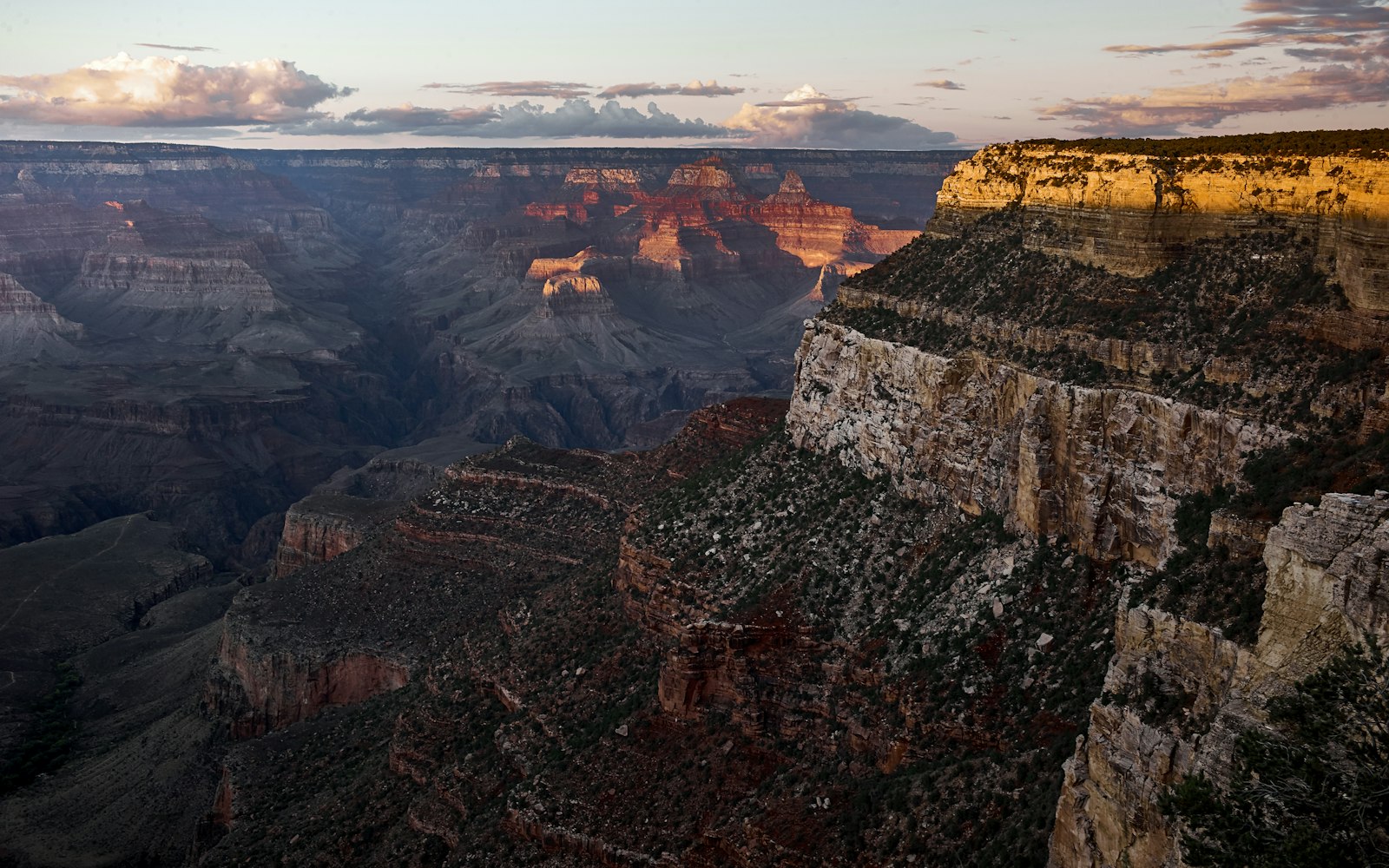 Leica M9 sample photo. Brown grand canyon under photography