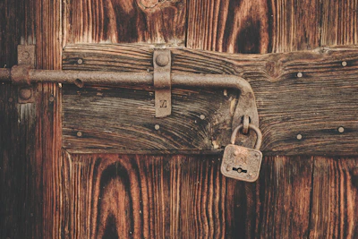 A sturdy twin paddock lock securing a rustic barn door under soft sunlight.