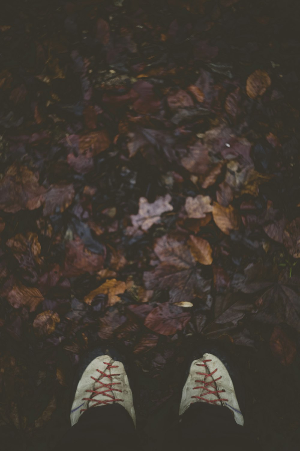 person standing on autumn leaves