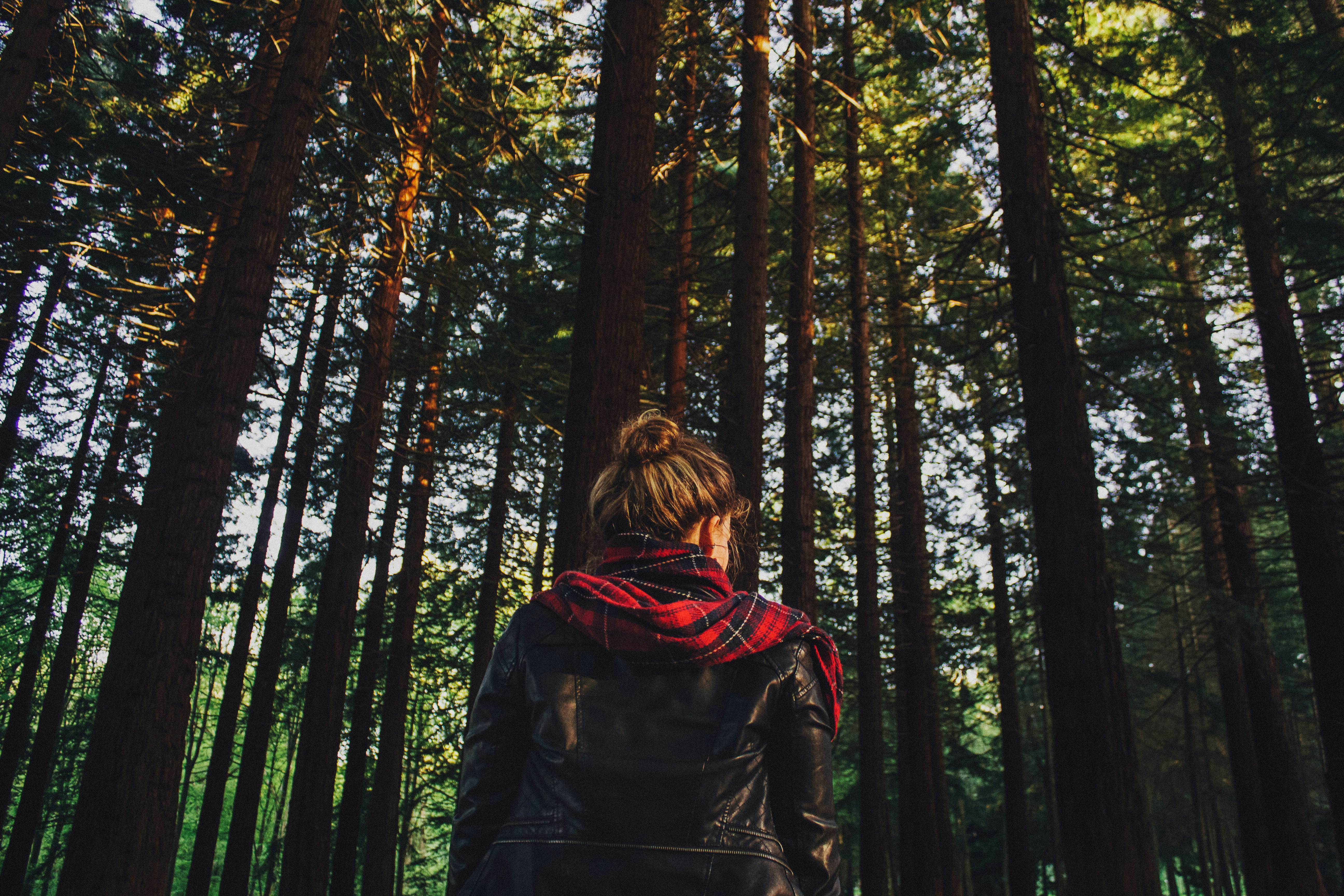 Free Unsplash photo from John Mark Arnold