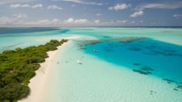 high-angle photography of white boat on blue ocean water near green leafed trees during daytime