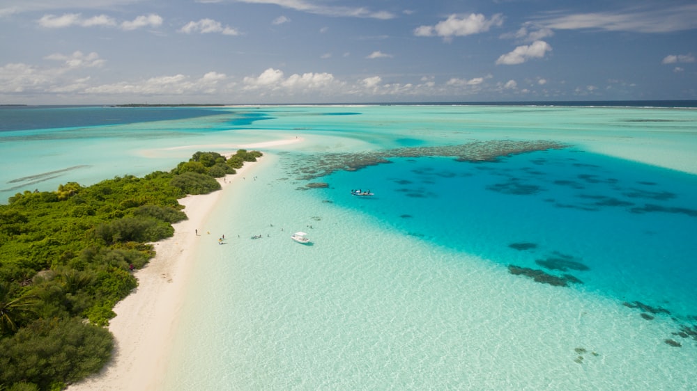 high-angle photography of white boat on blue ocean water near green leafed trees during daytime