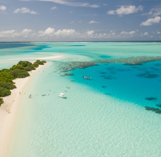 high-angle photography of white boat on blue ocean water near green leafed trees during daytime