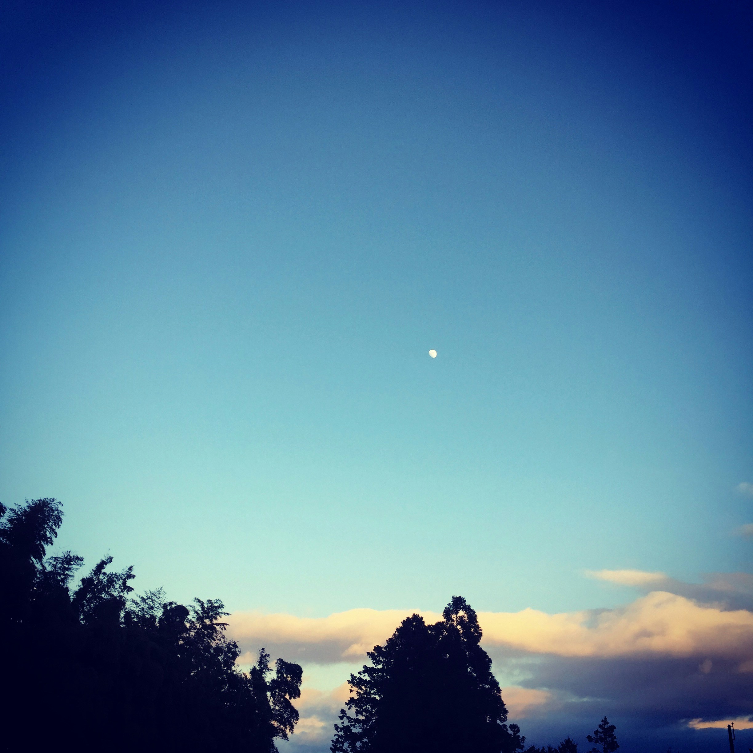 Free Unsplash photo from Balooon69