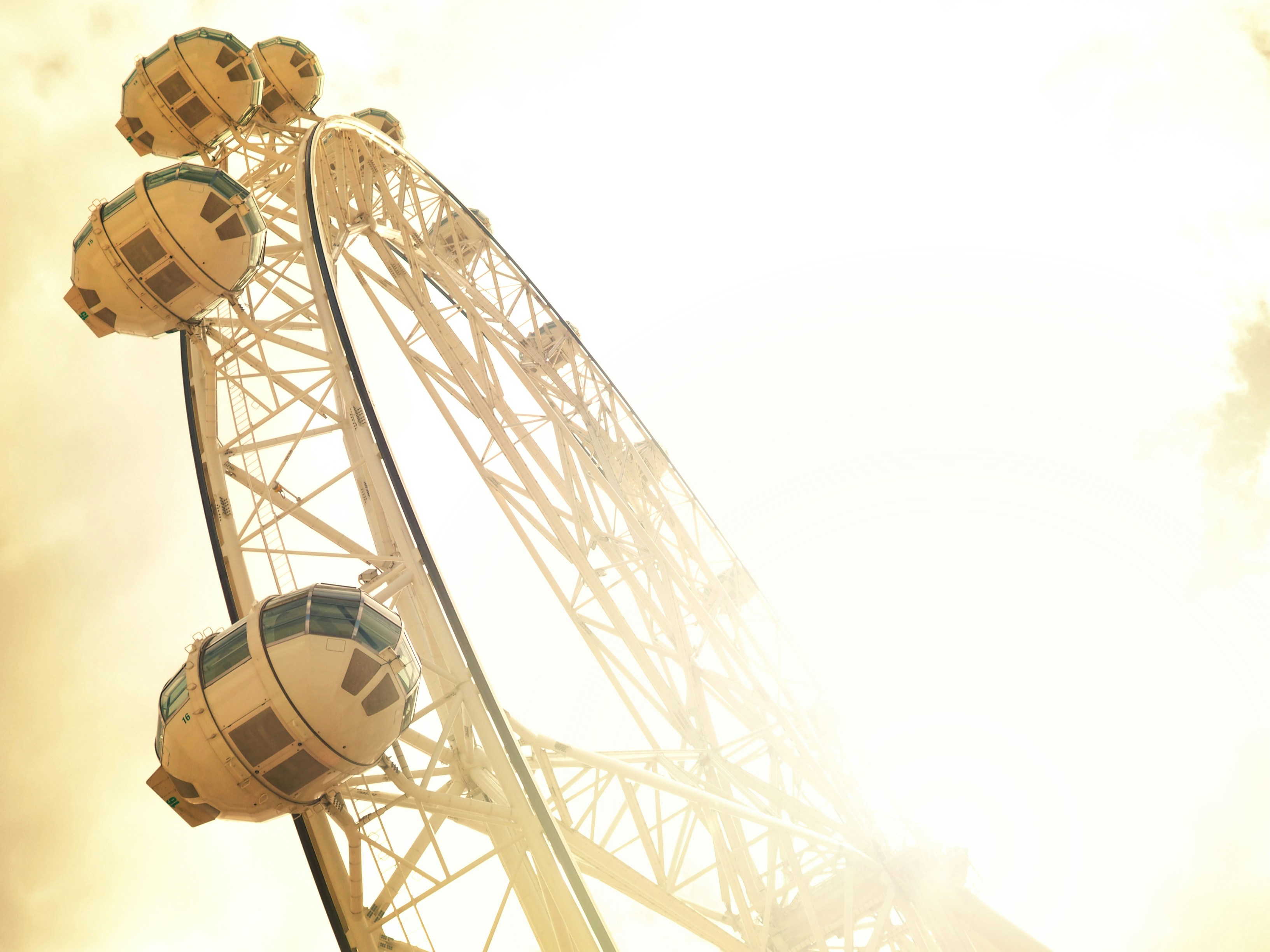 Free Unsplash photo from Fleur Hocking