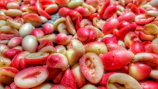Close-up of fresh, colorful Bahia fruits harvesting outdoors