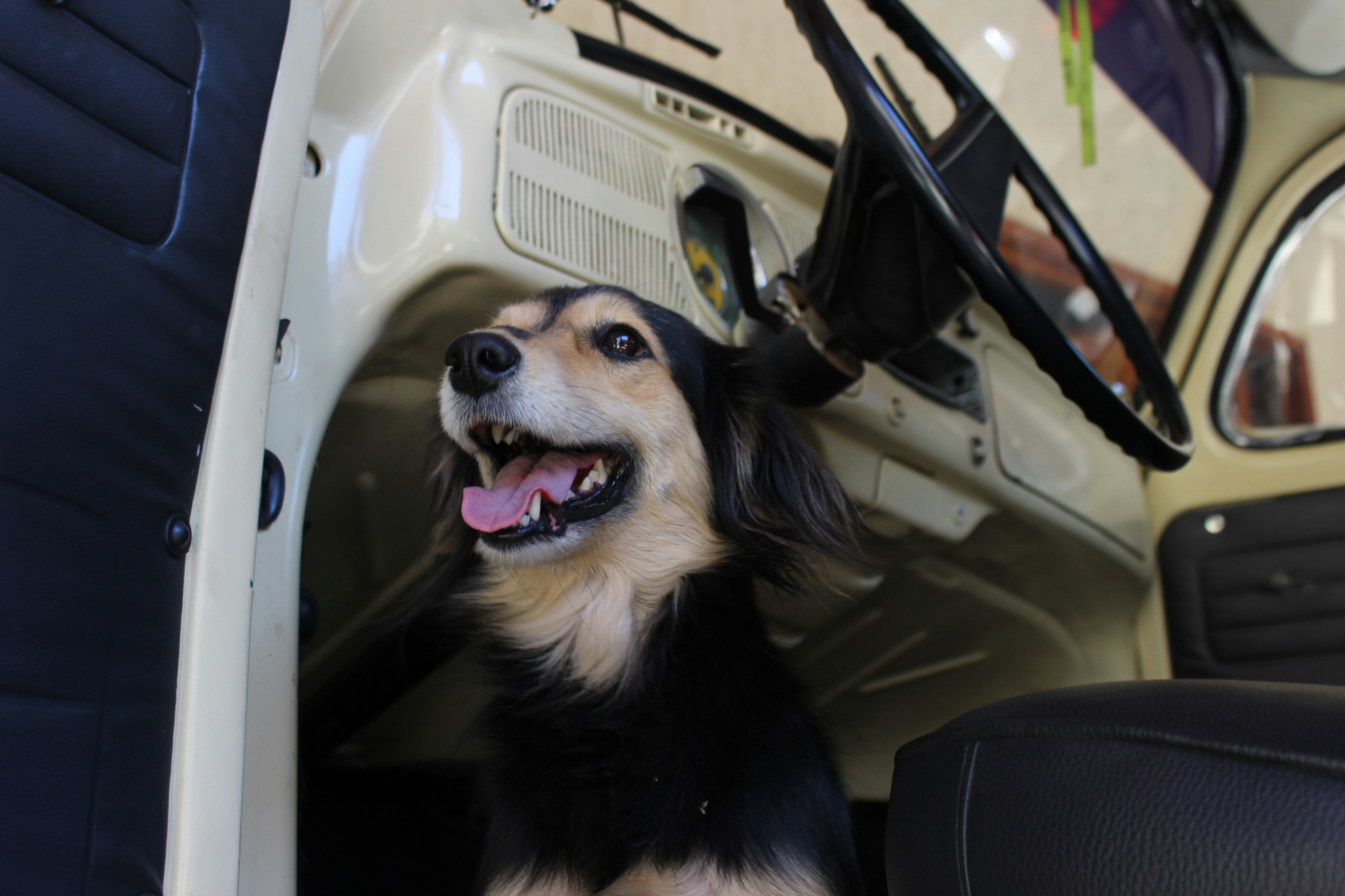 Free Unsplash photo from Leonardo Milhomem