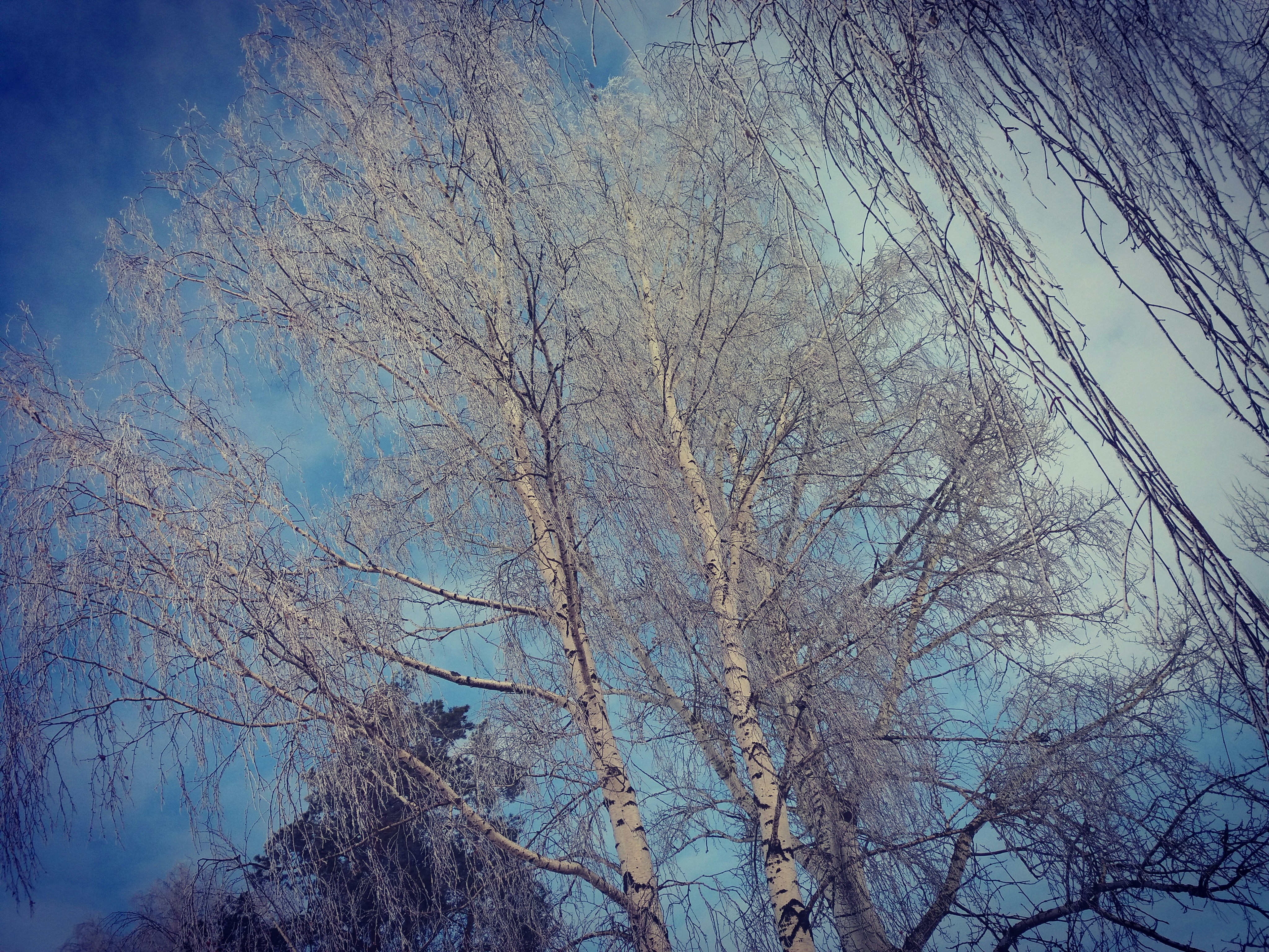 Free Unsplash photo from Maryna Musienko