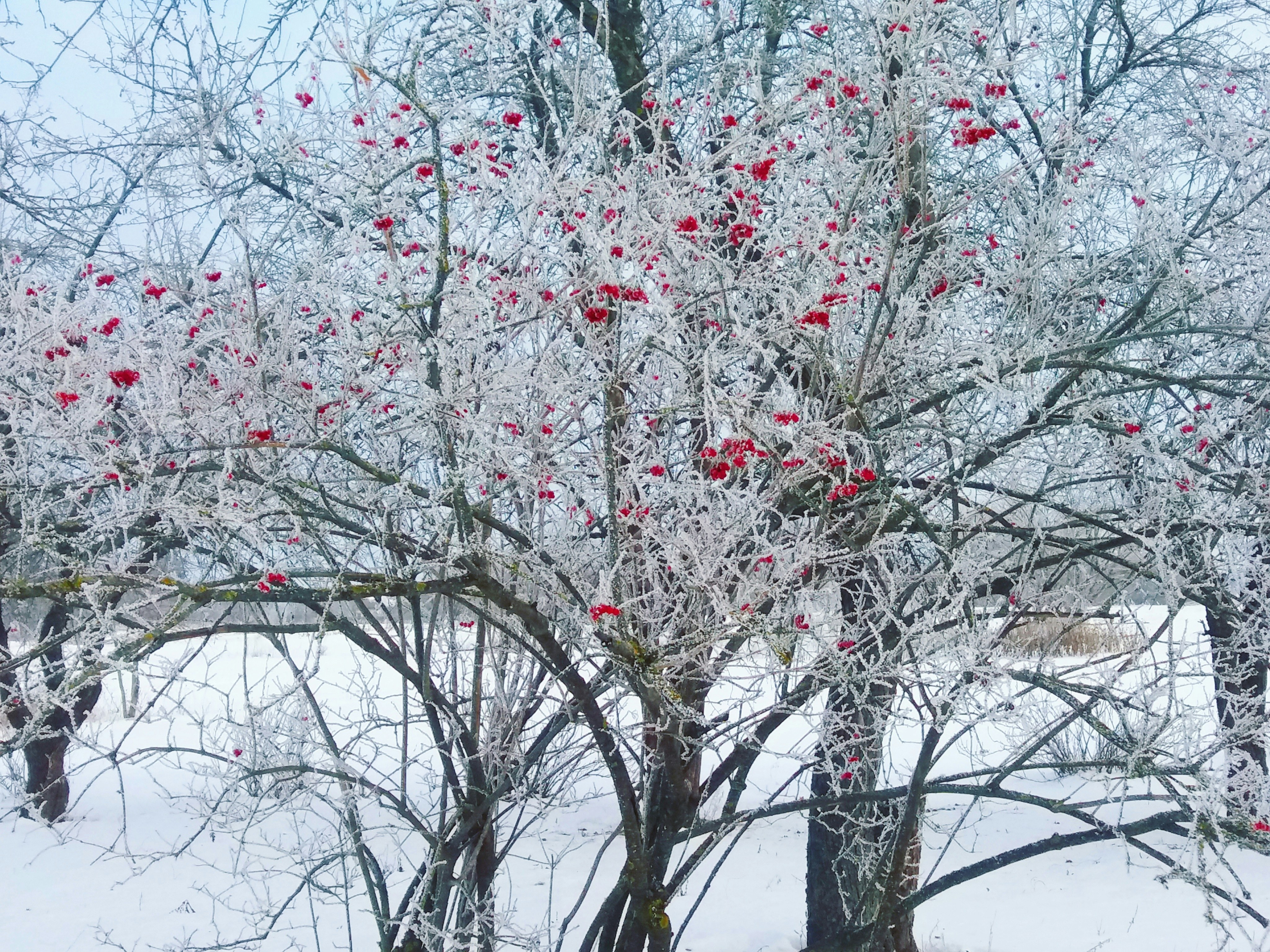 Free Unsplash photo from Maryna Musienko