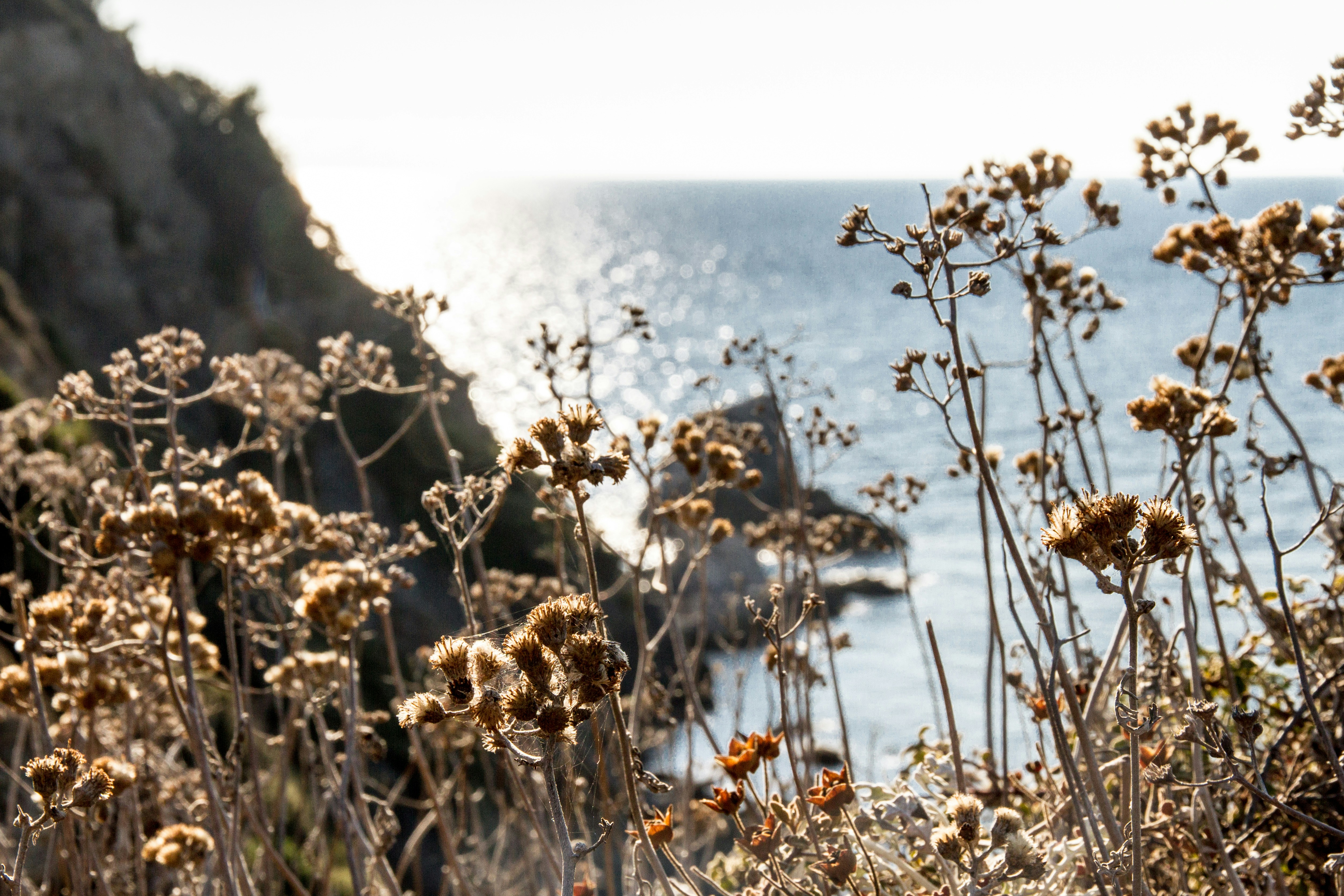 Free Unsplash photo from Hanna Bergblau