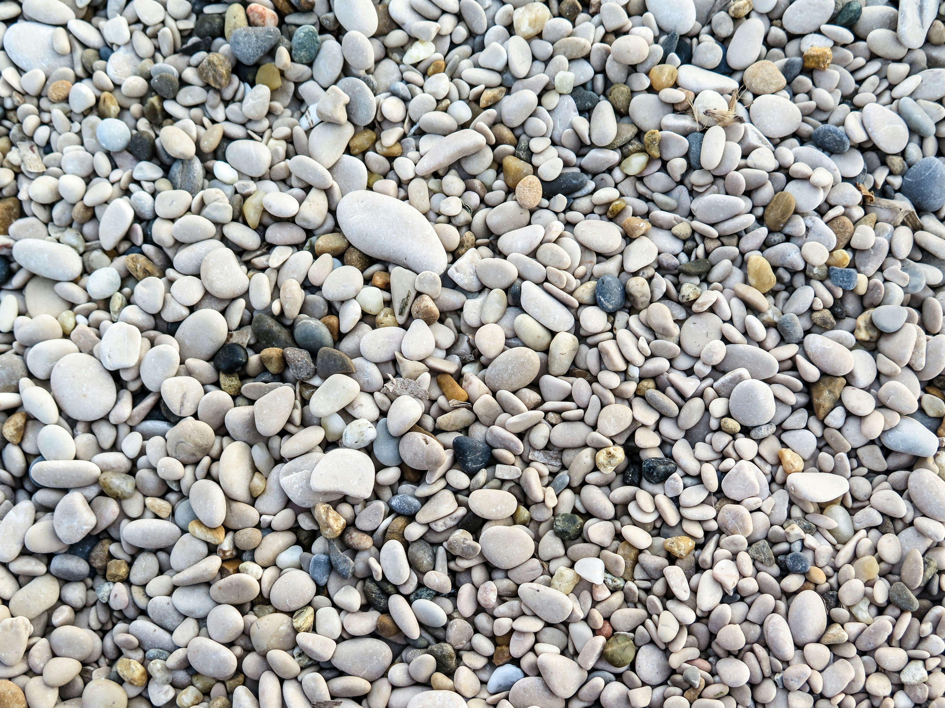 Free Unsplash photo from Hanna Bergblau