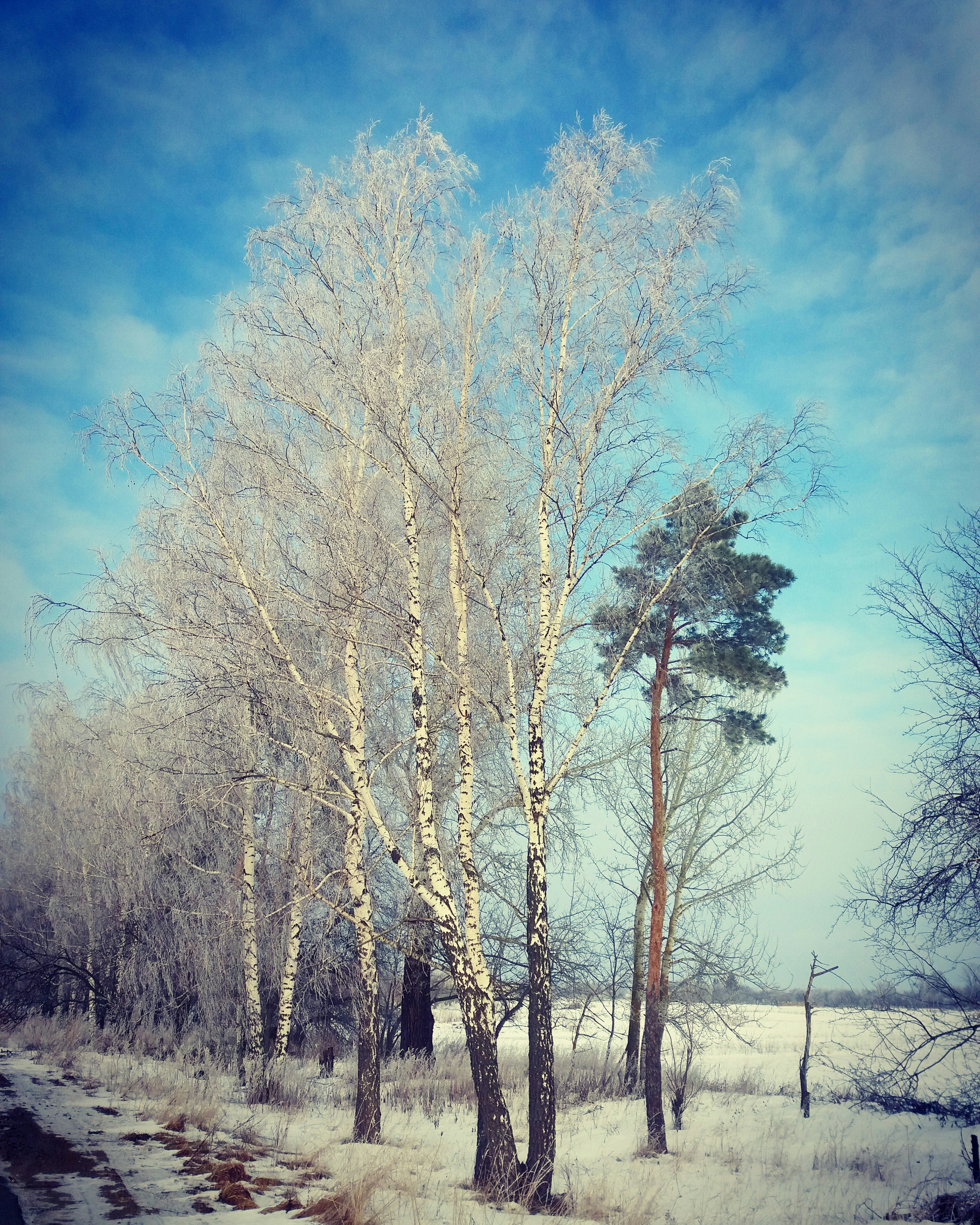 Free Unsplash photo from Maryna Musienko