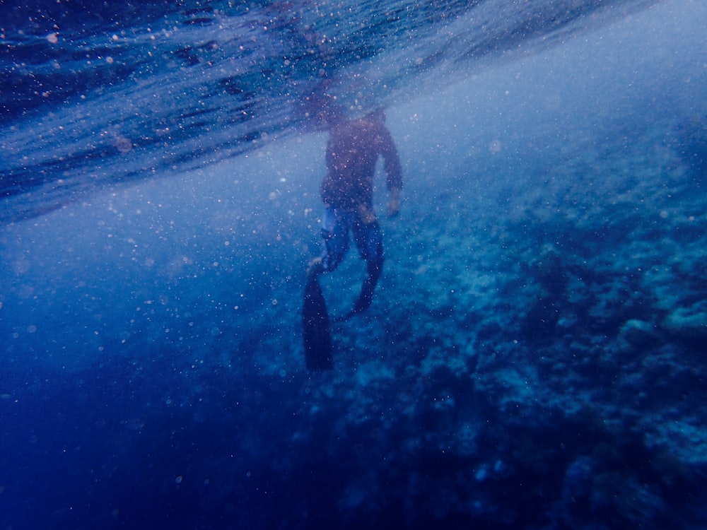 잠수하는 사람의 수중 사진