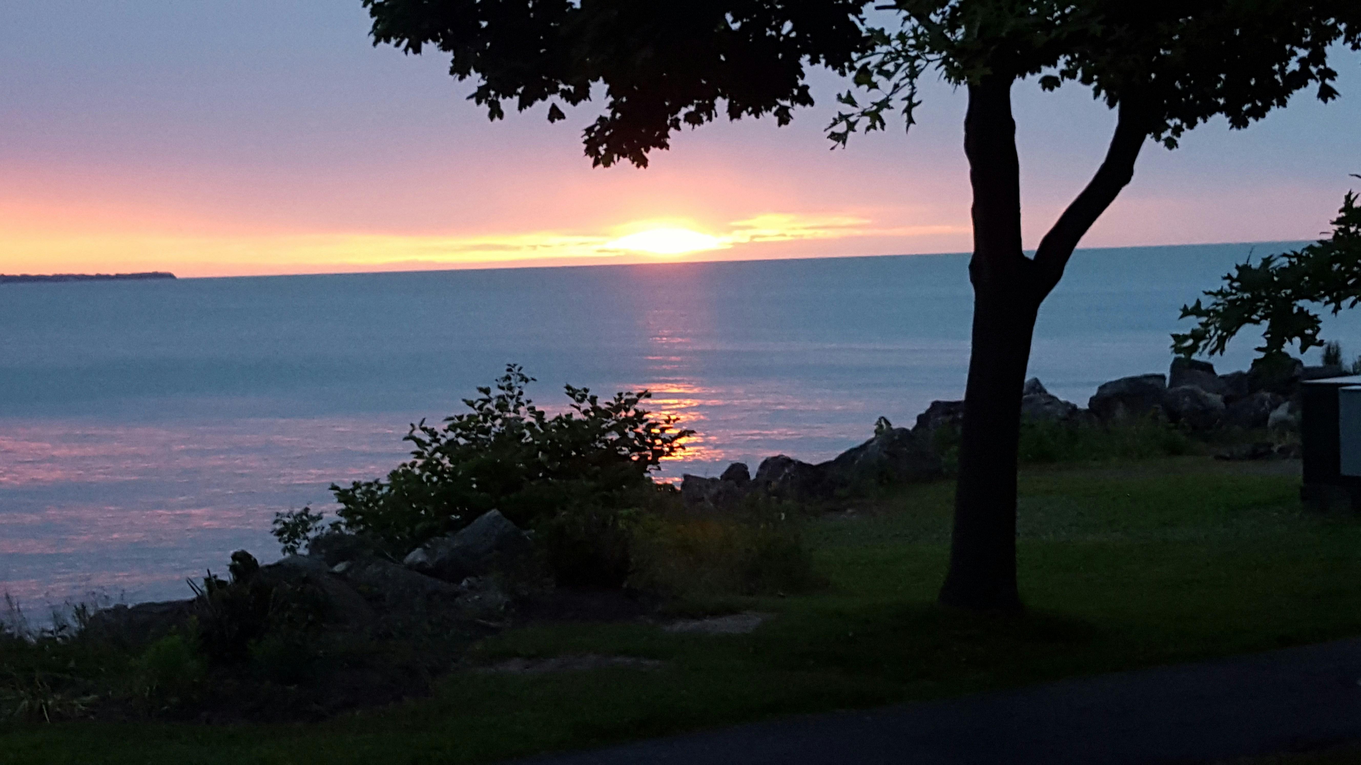 Free Unsplash photo from Brian Farr