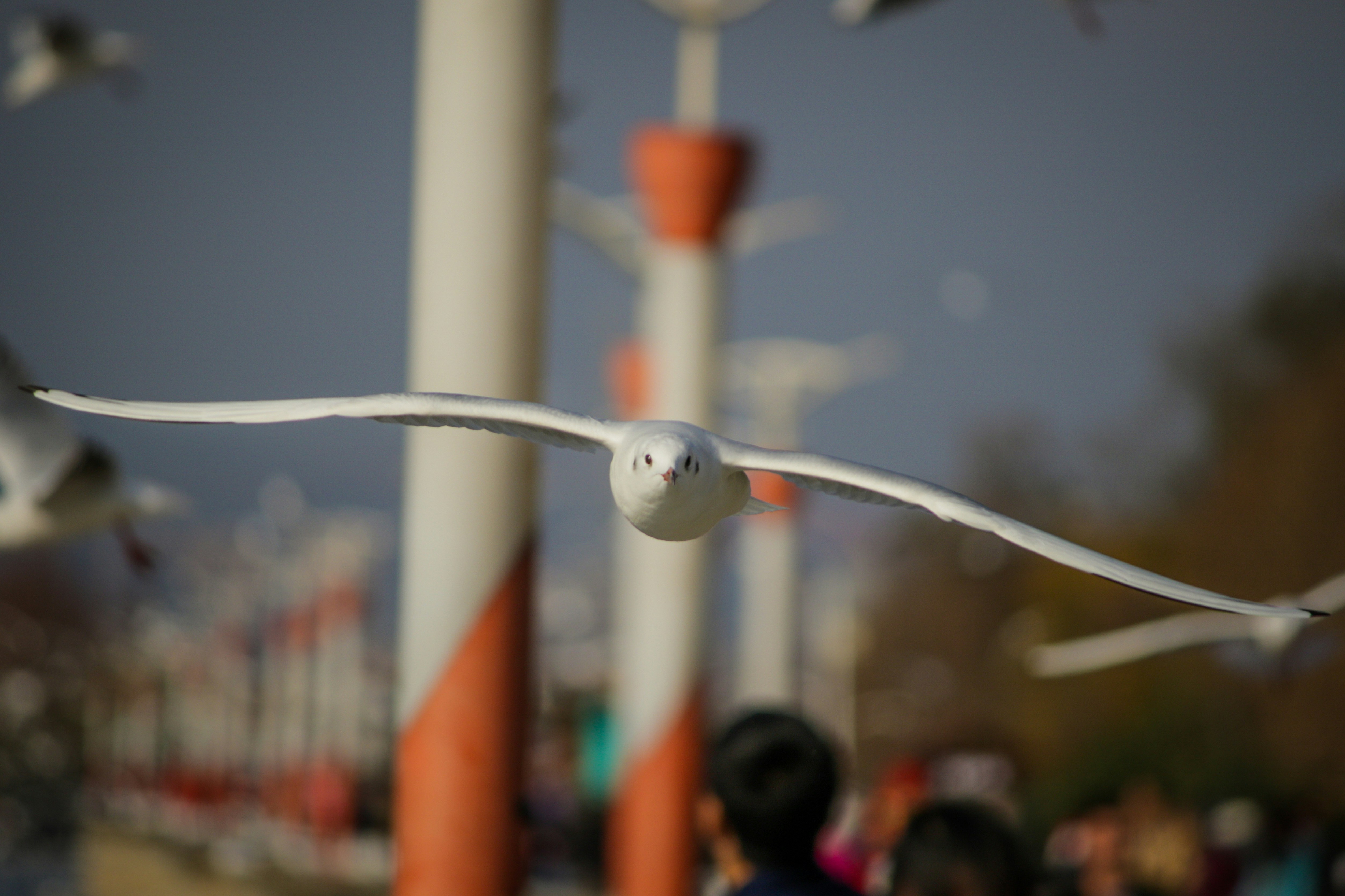 Free Unsplash photo from Andre Mouton