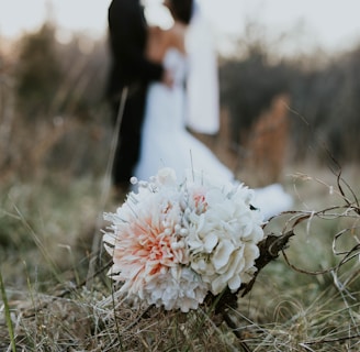 white and pink flowers