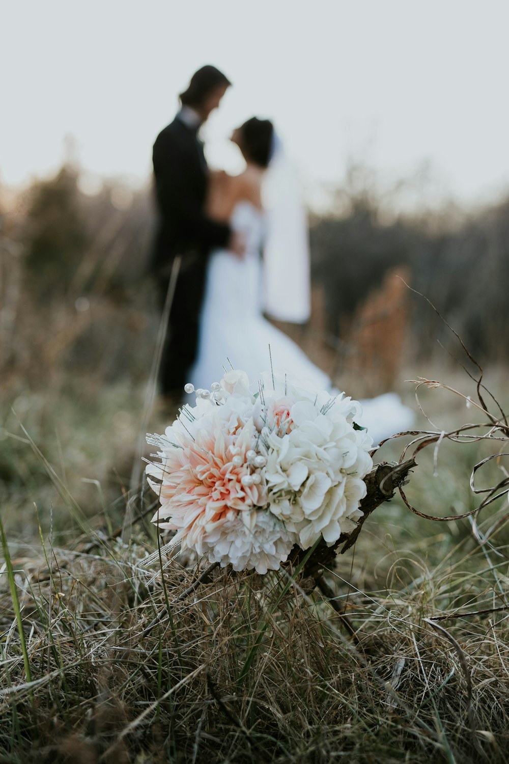 white and pink flowers