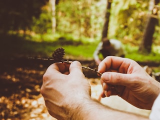 Close-up of hands collecting stones and branches in a dense forest.