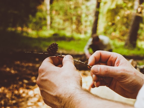 Close-up of hands conducting an environmental audit outdoors.