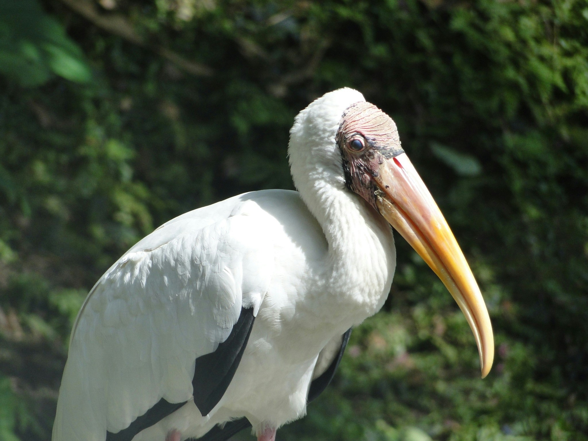 Free Unsplash photo from Mihir Jain