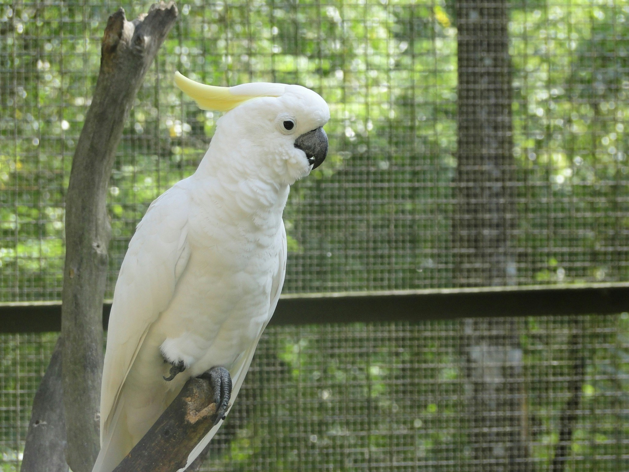 Free Unsplash photo from Mihir Jain