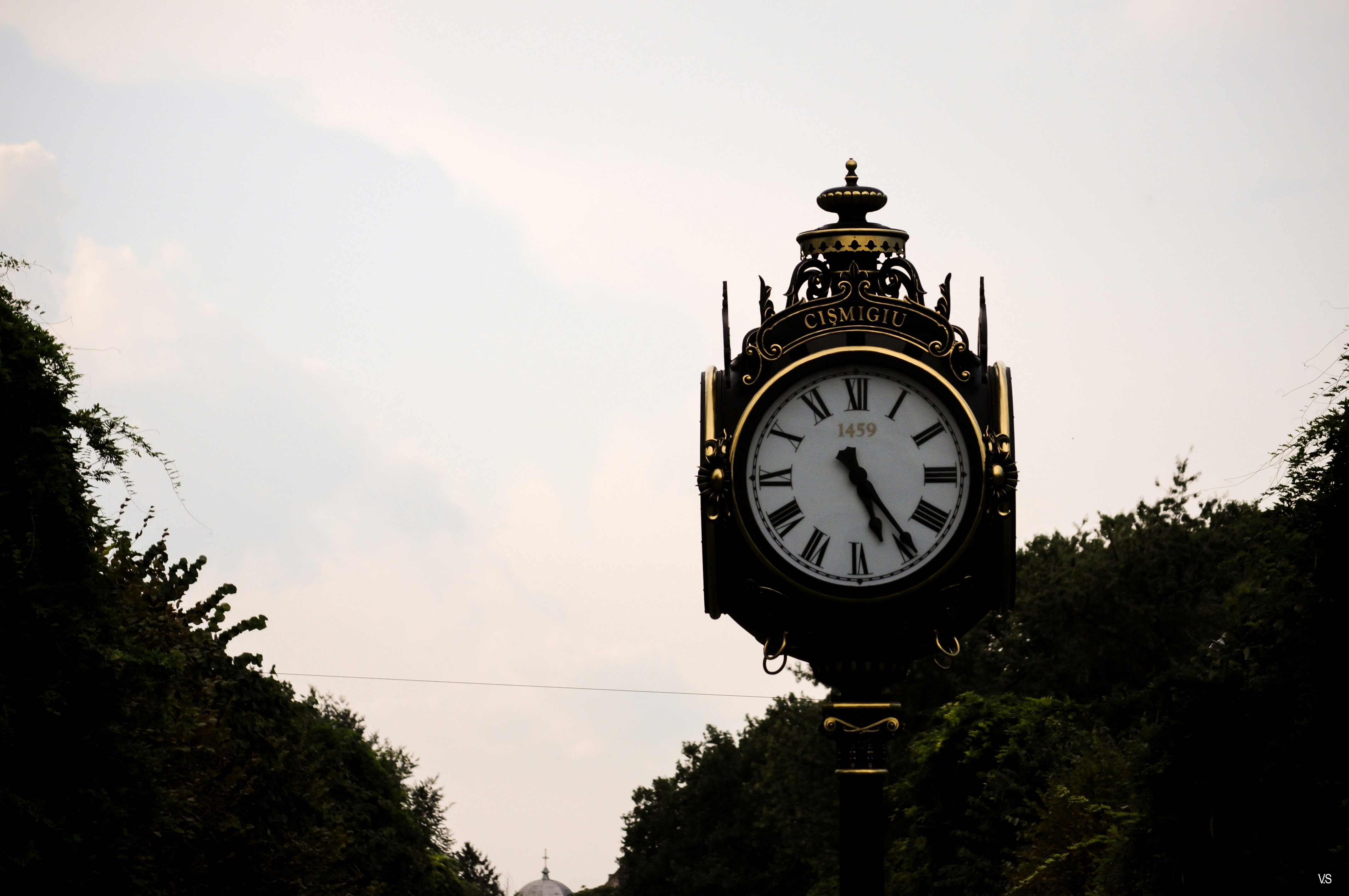 Free Unsplash photo from Sergiu Vitalis