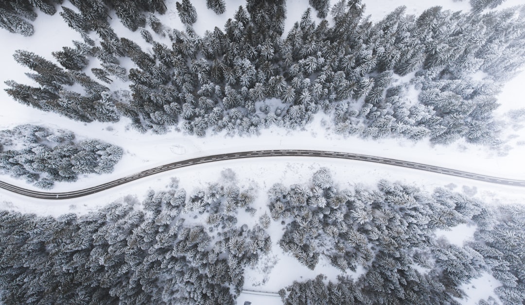 aerial view of road surrounded by trees, Winter vibes in the Swiss Alps! The last couple of days we have been able to ex