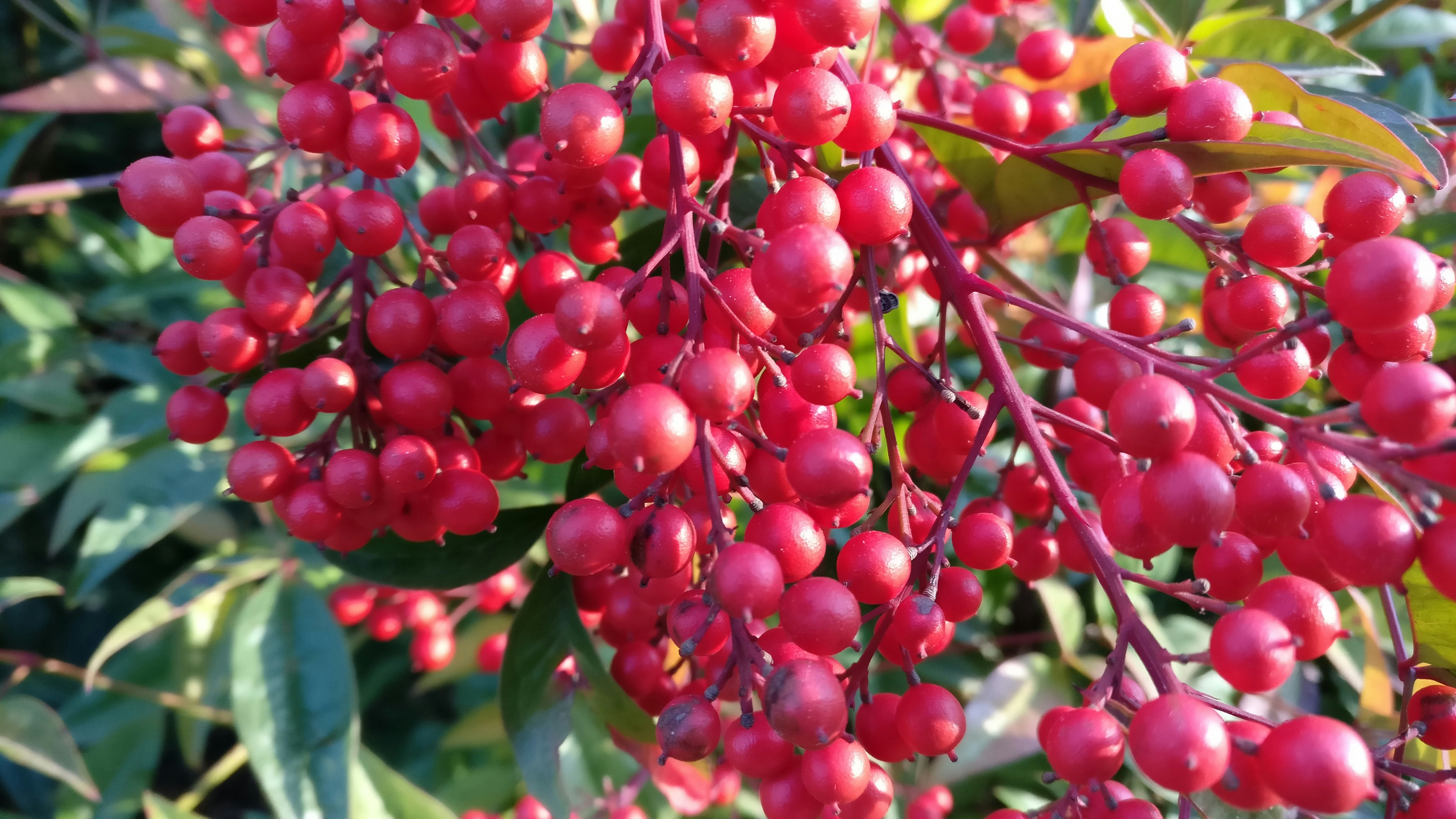 Free Unsplash photo from Marius Lelouard