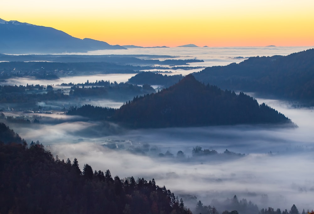 fog covered mountains