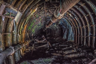 A rusty and abandoned underground tunnel with visible pipes and structural supports. The walls and ceiling are covered in dark and mossy textures, suggesting decay and age. The lighting is dim, creating a mysterious and eerie atmosphere.