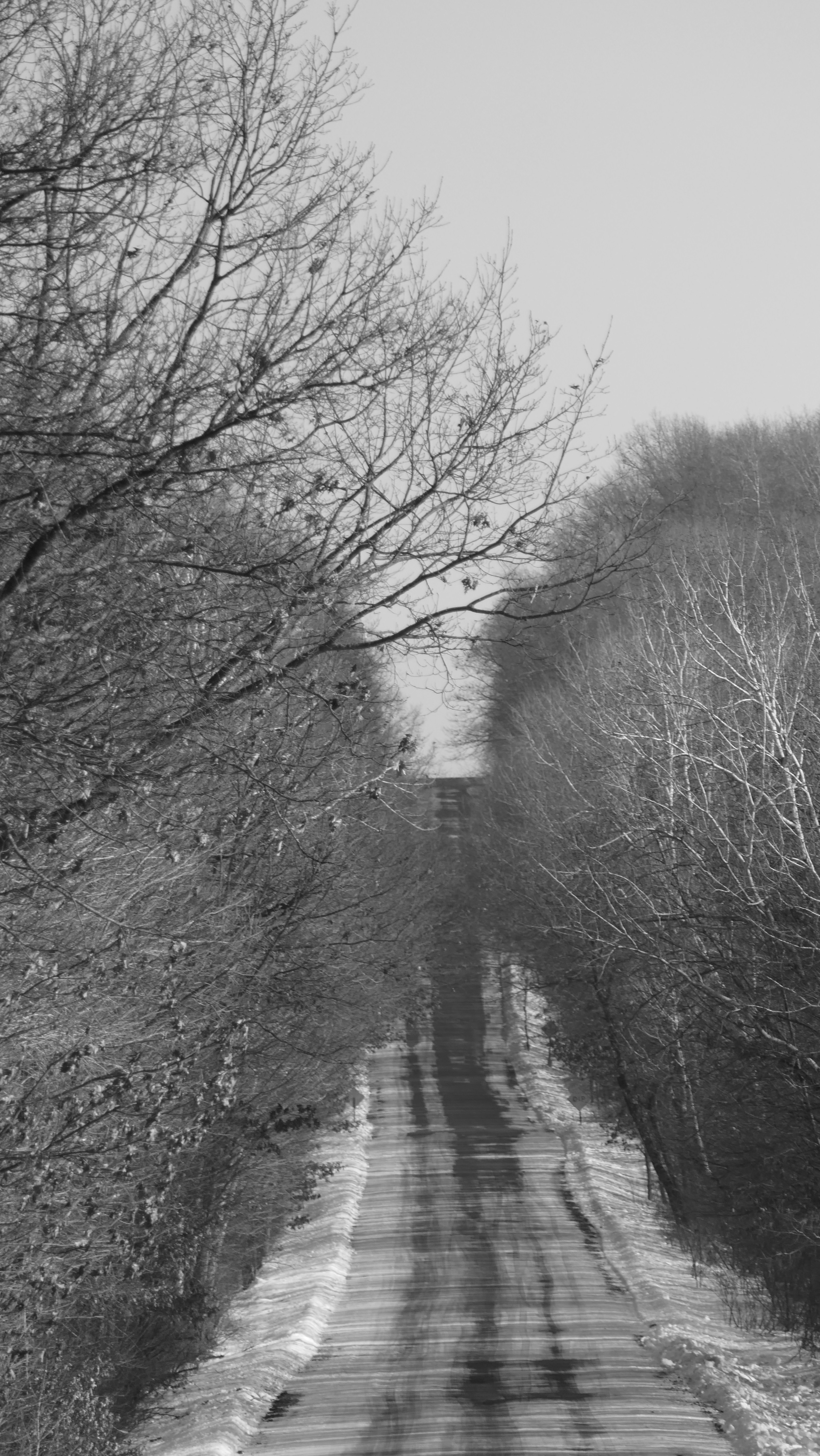 Free Unsplash photo from Paul Sikkema