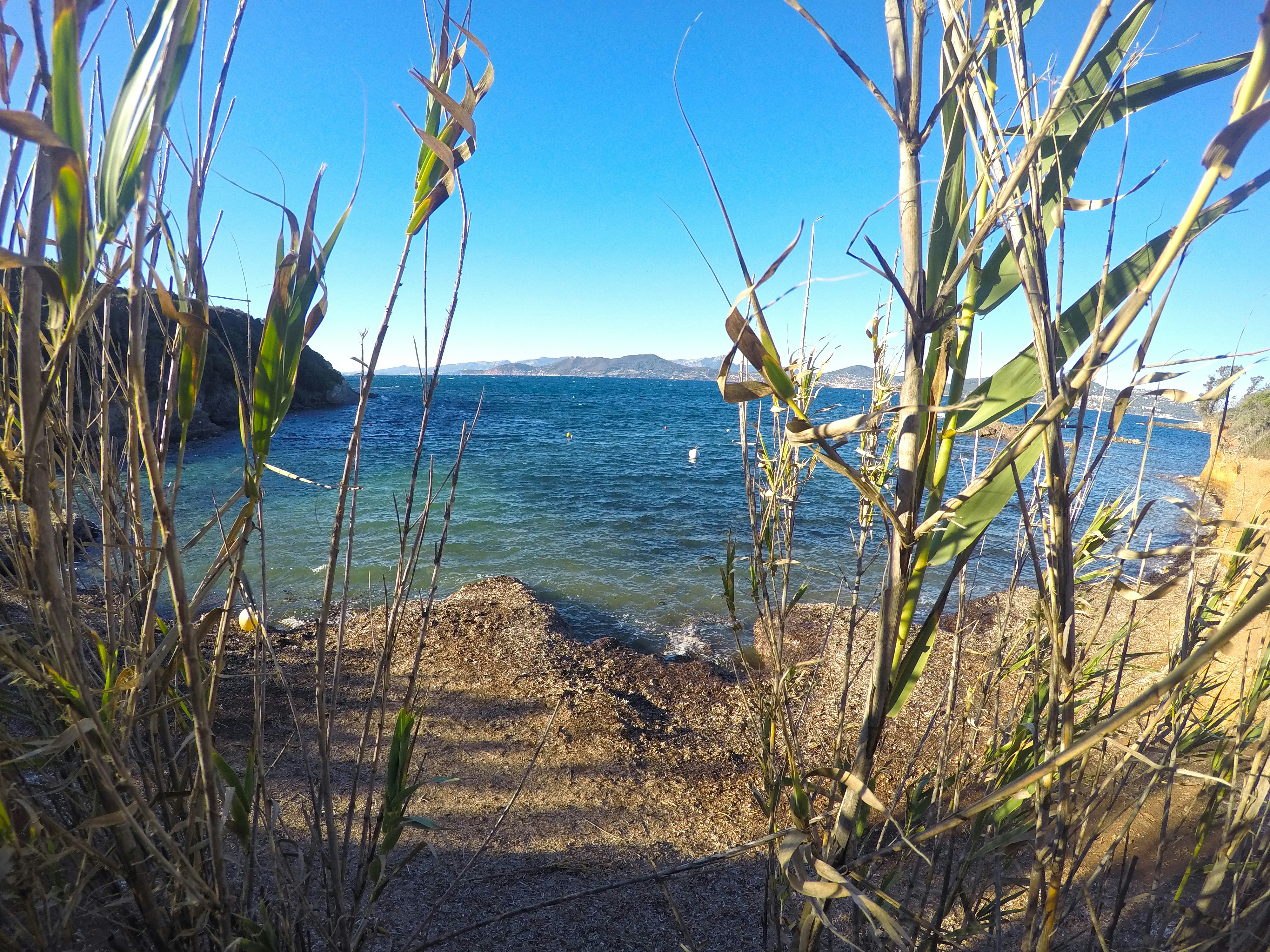 Free Unsplash photo from Vincent ZIMMER