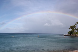 A serene ocean scene with a clear blue sky graced by a vibrant rainbow stretching across it. The calm water reflects the sky's hue and features several people paddleboarding. Tall palm trees stand on a rocky shoreline to the right.